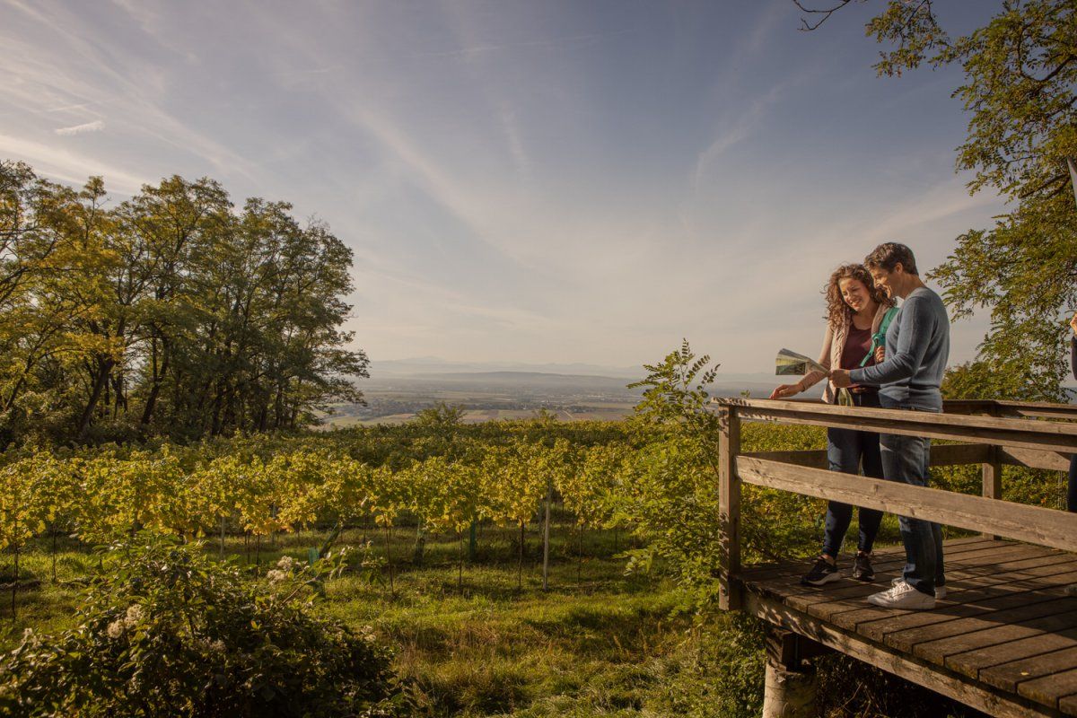 Zwei Wandernde auf einer Aussichtsplattform betrachten eine Karte über einer Weinlandschaft.