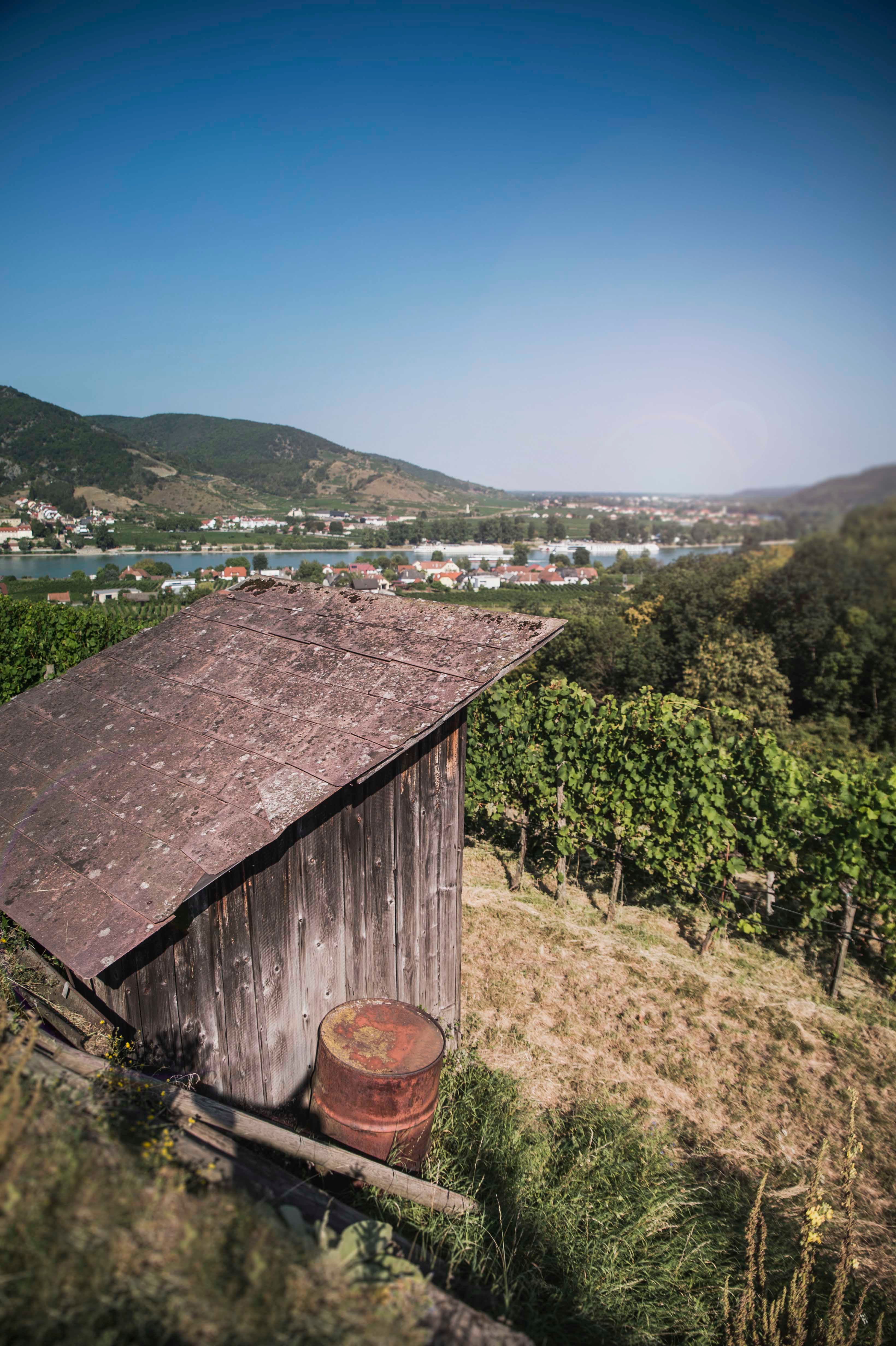 Weinbau in der Wachau