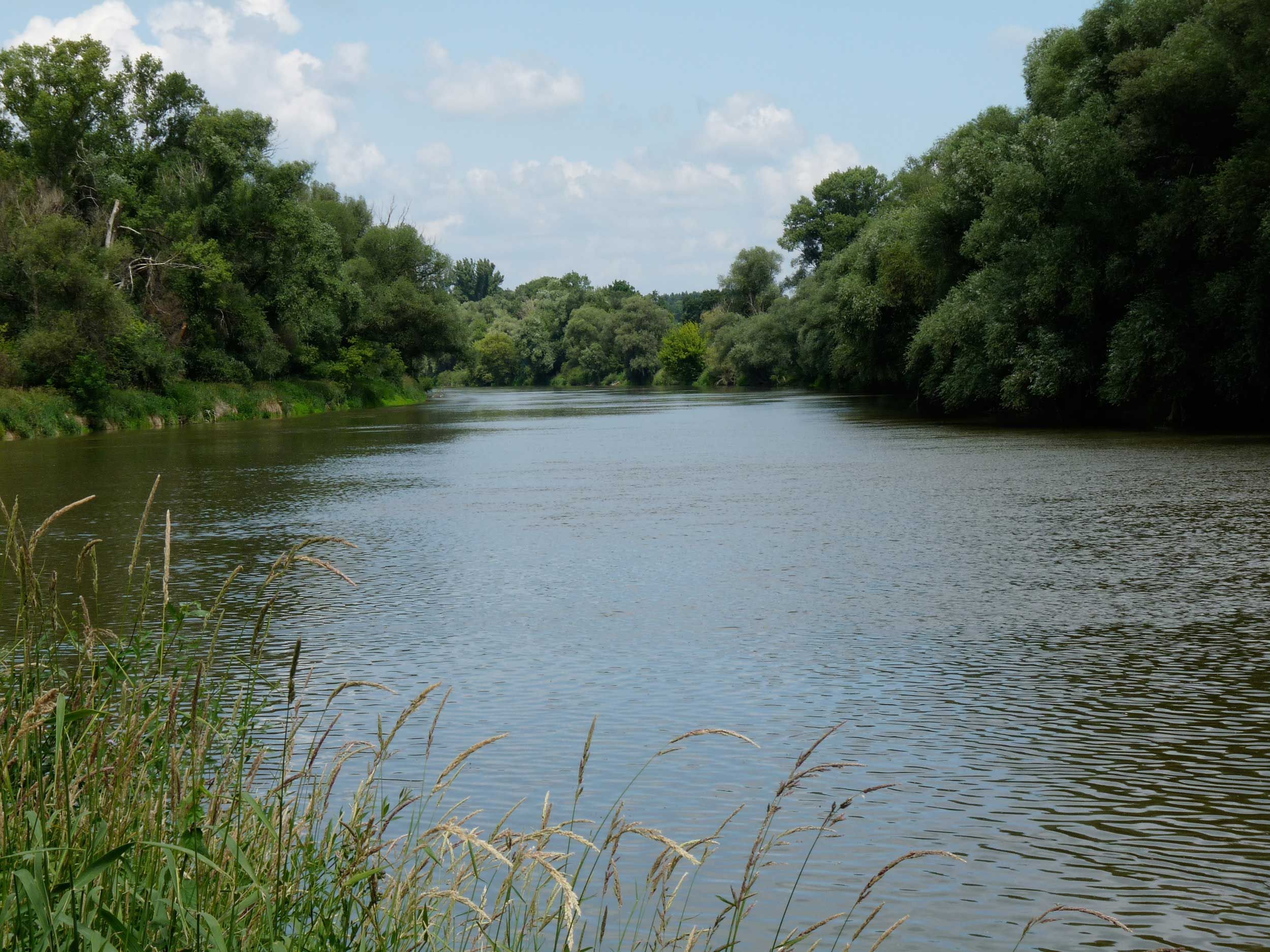 Hraničná rieka March, Marchegg