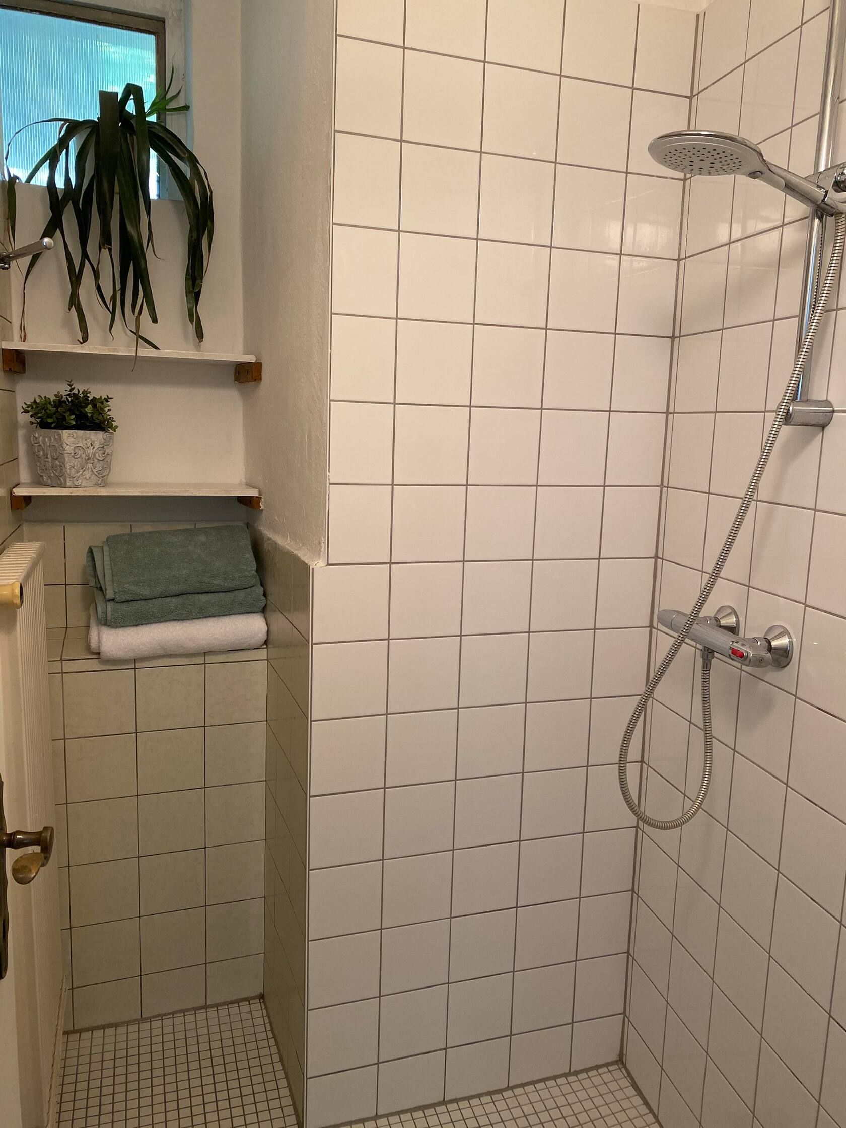Eine geflieste Dusche mit Duschkopf, Handtüchern und Pflanzen auf Regalen.