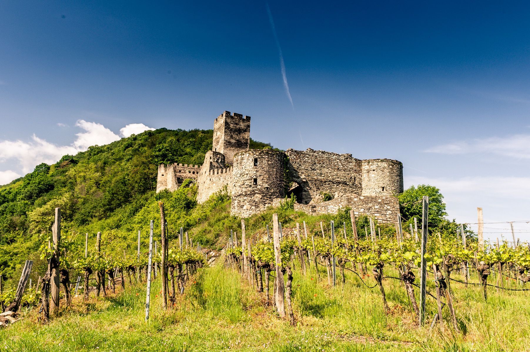 Ruine Hinterhaus in Spitz