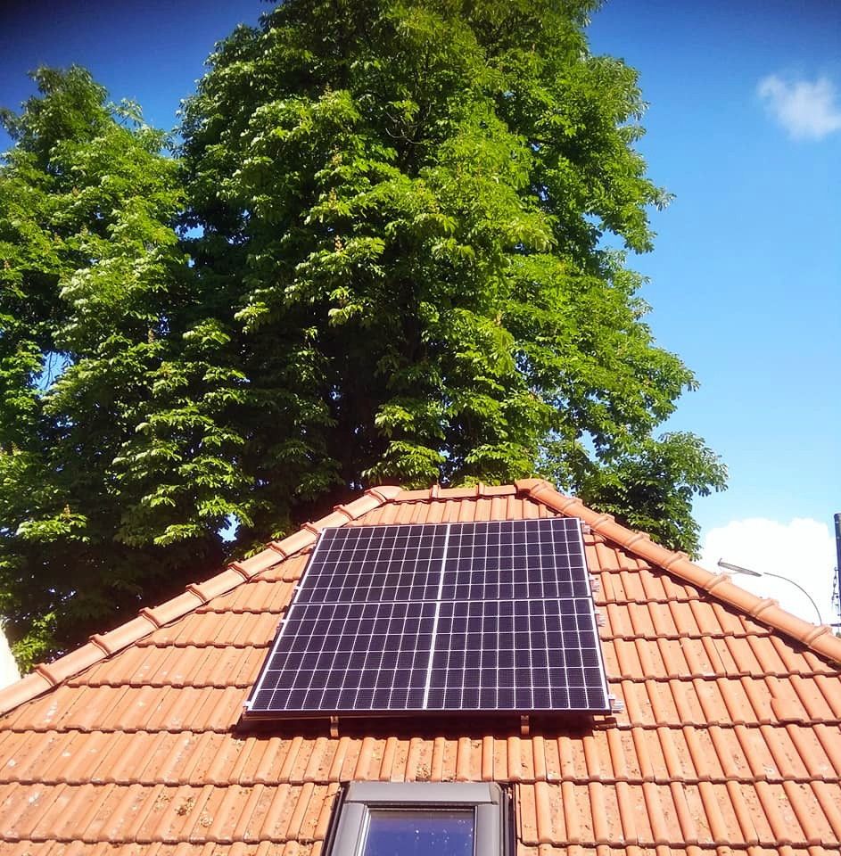 Sonnenenergie für die Pilzzucht