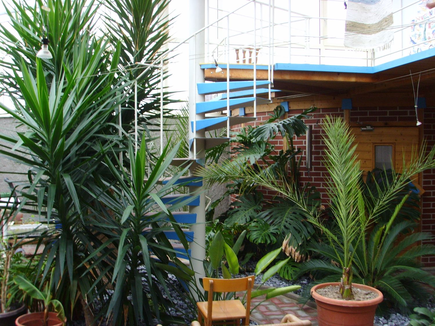 Innenhof mit Pflanzen und Wendeltreppe.