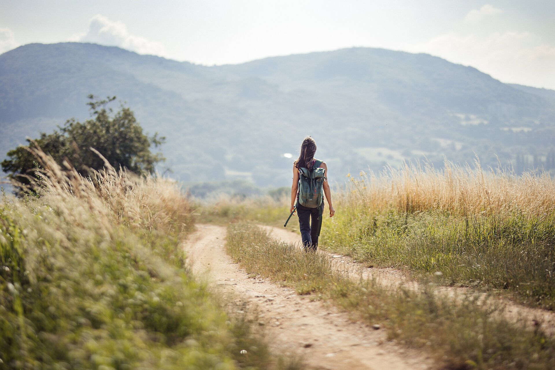 Ein sanfter Wanderweg schlängelt sich durch die goldenen Gräser, während die warmen Sonnenstrahlen die Landschaft in ein magisches Licht tauchen. Die frische Bergluft und die majestätischen Ausblicke laden dazu ein, die Seele baumeln zu lassen und die Schönheit der Natur zu genießen.