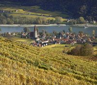 A Wachau-vidéki Weißenkirchen látképe, előtérben szőlőültetvényekkel, háttérben a Dunával.