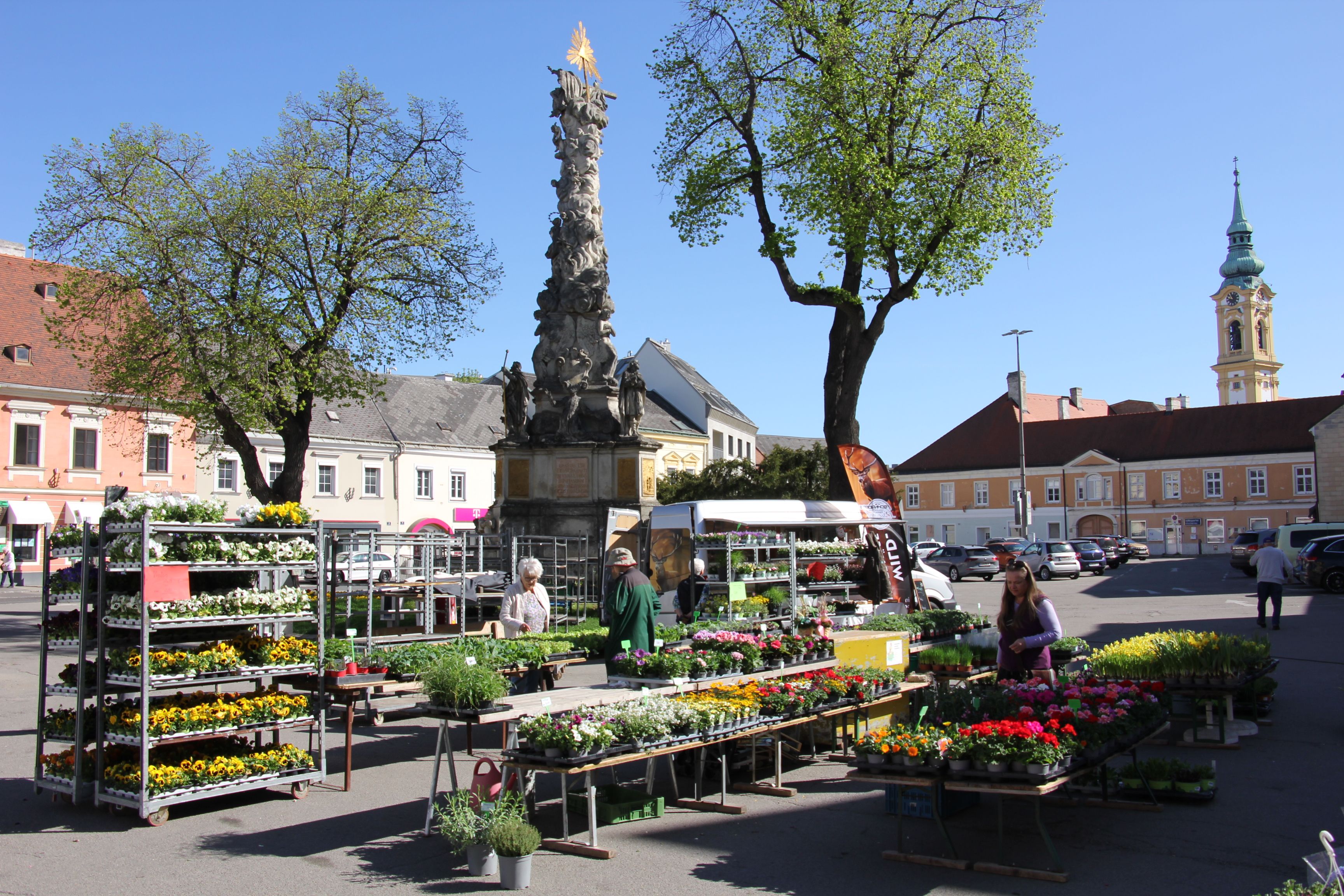 Wochenmarkt in Stockerau mit Blumenständen und einer barocken Säule im Hintergrund.