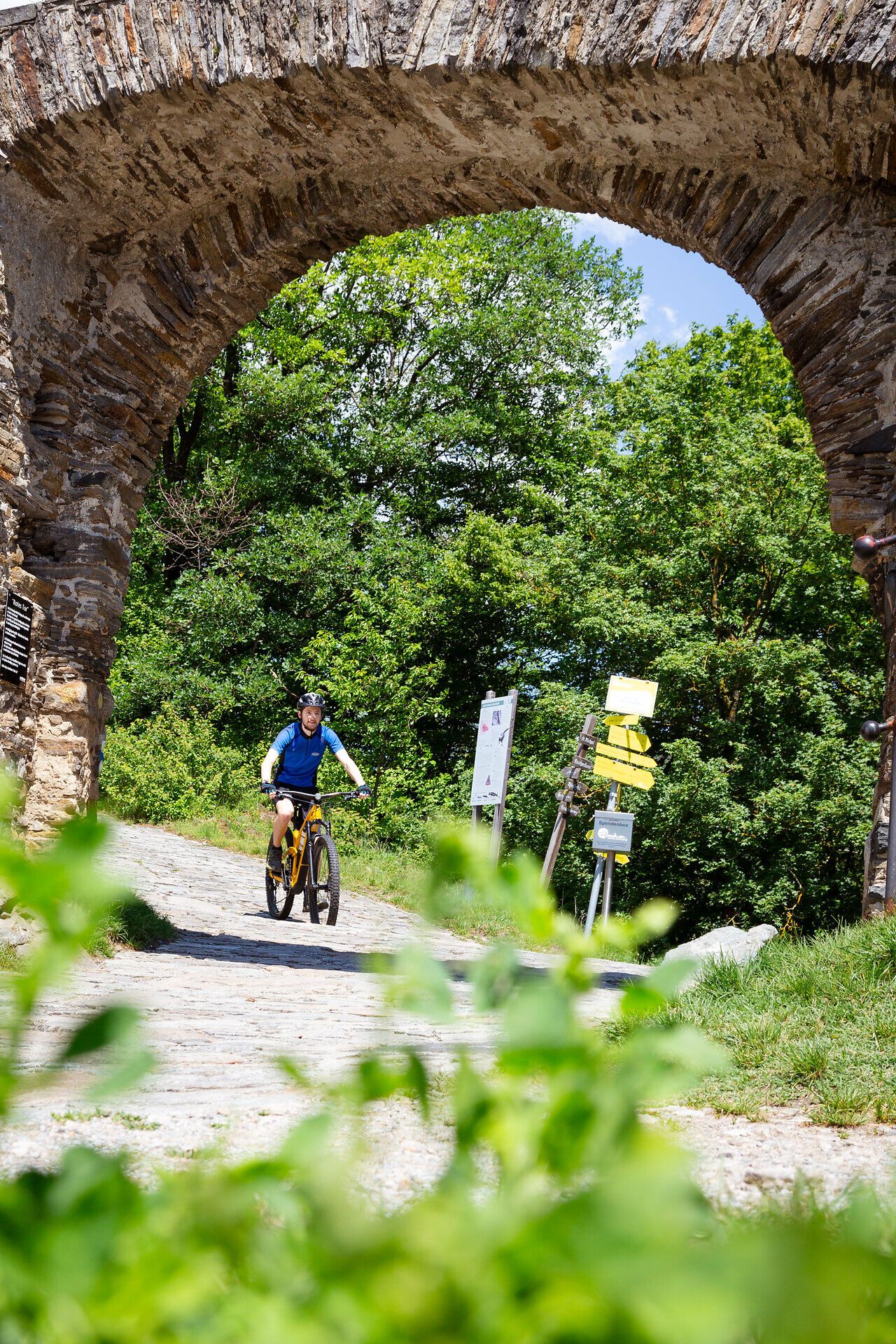 Ein Mountainbiker fährt Richtung Rotes Tor in Spitz.