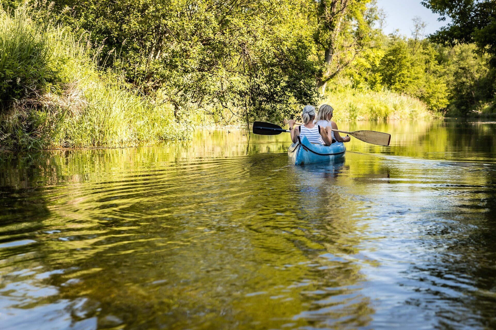 Kanutour in den Donau-Auen, zwei Frauen lenken das Kanu die Wasserstraße entlang, links und rechts grüne Büsche und Bäume, blauer Himmel, sonniger Tag.