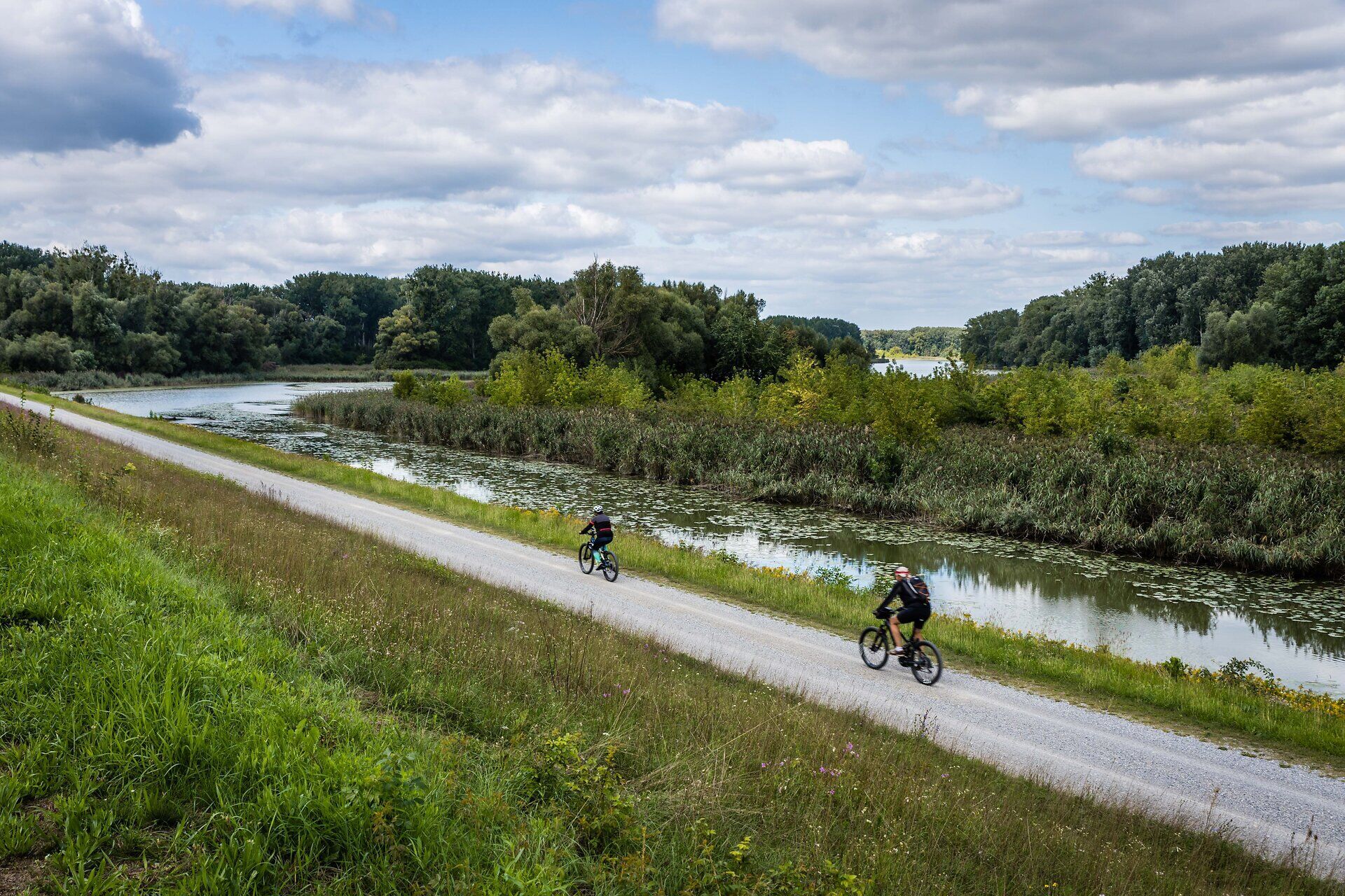 Zwei Radfahrer am Donauradweg im Nationalpark Donau-Auen.