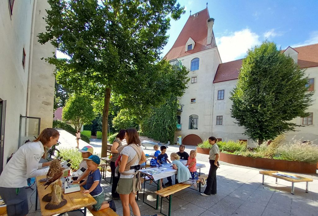Ferienprogramm Nationalpark Donau-Auen