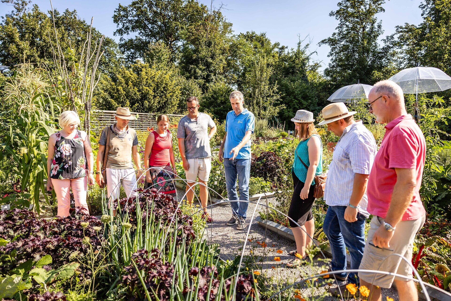 Top Ausflugsziel GARTEN TULLN. Sieben Erwachsene lauschen einer Führung durch die unterschiedlichen Schaugärten, alle sind interessiert, fröhlich und genießen den sonnigen Tag.