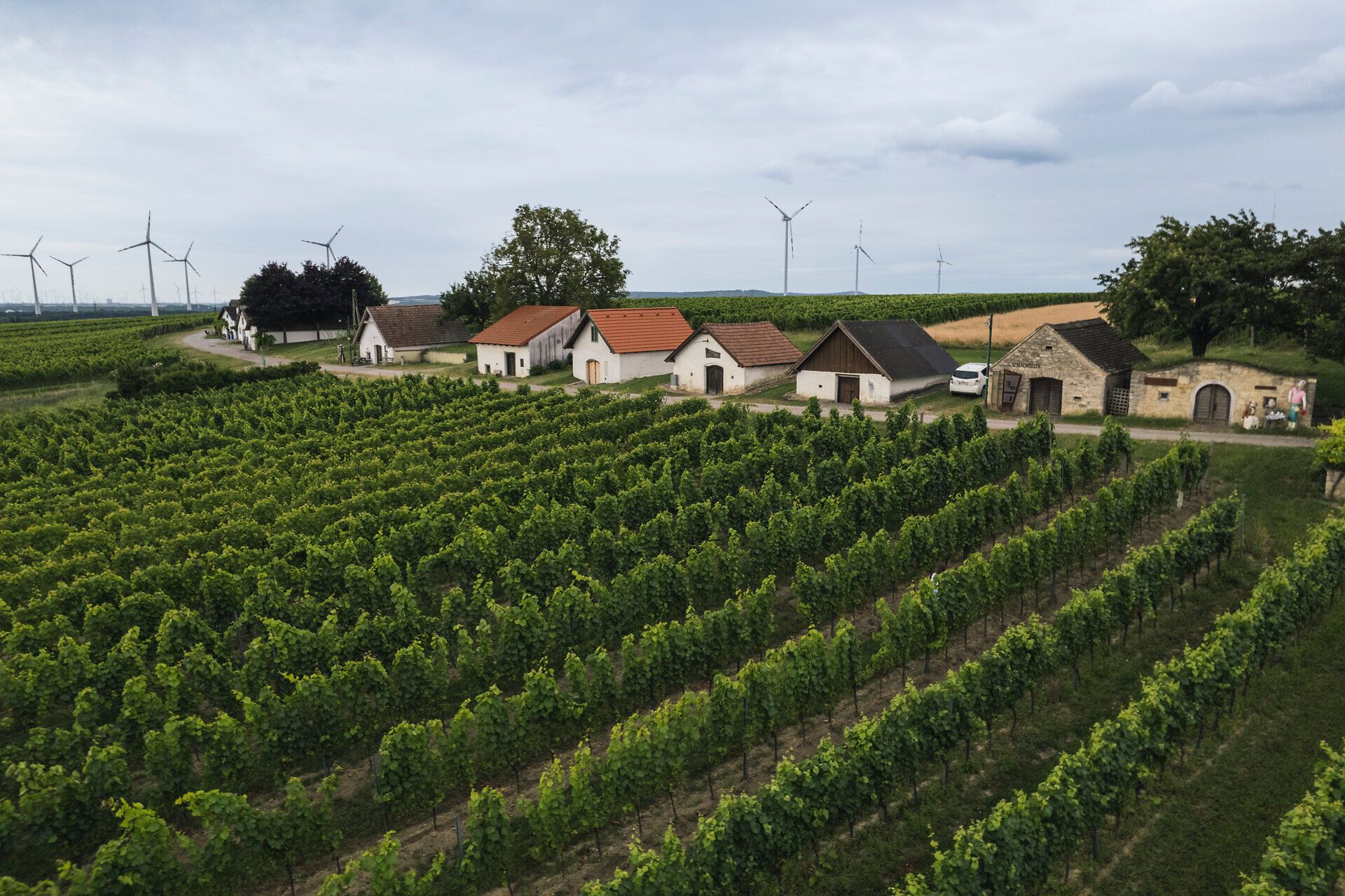 Genuss am Strom, Genuss am Fluss