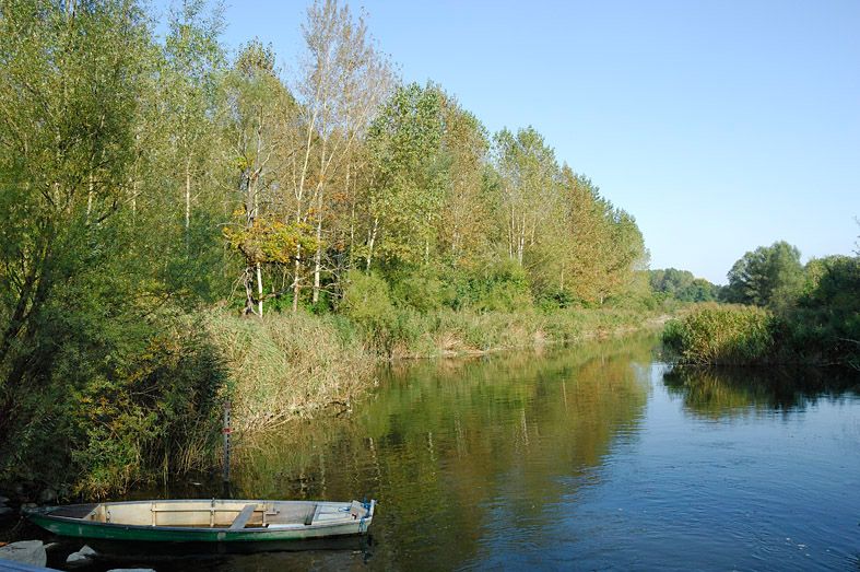 Ein ruhiger Fluss mit einem kleinen Boot am Ufer, umgeben von dichtem Wald und klarem Himmel.