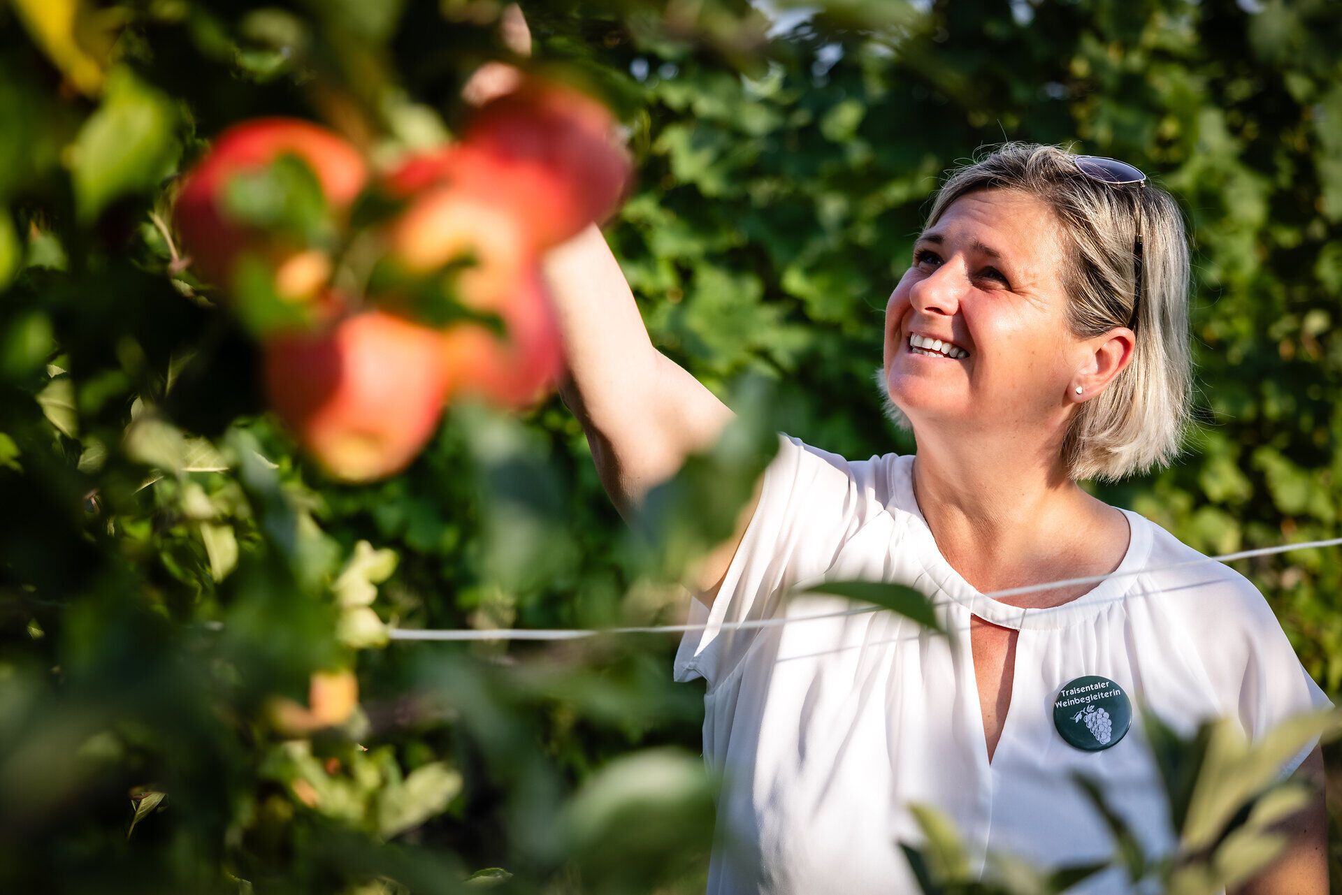Blonde Frau von den Traisentaler Weinbegleitern lächelt und holt sich einen Apfel aus dem Baum.