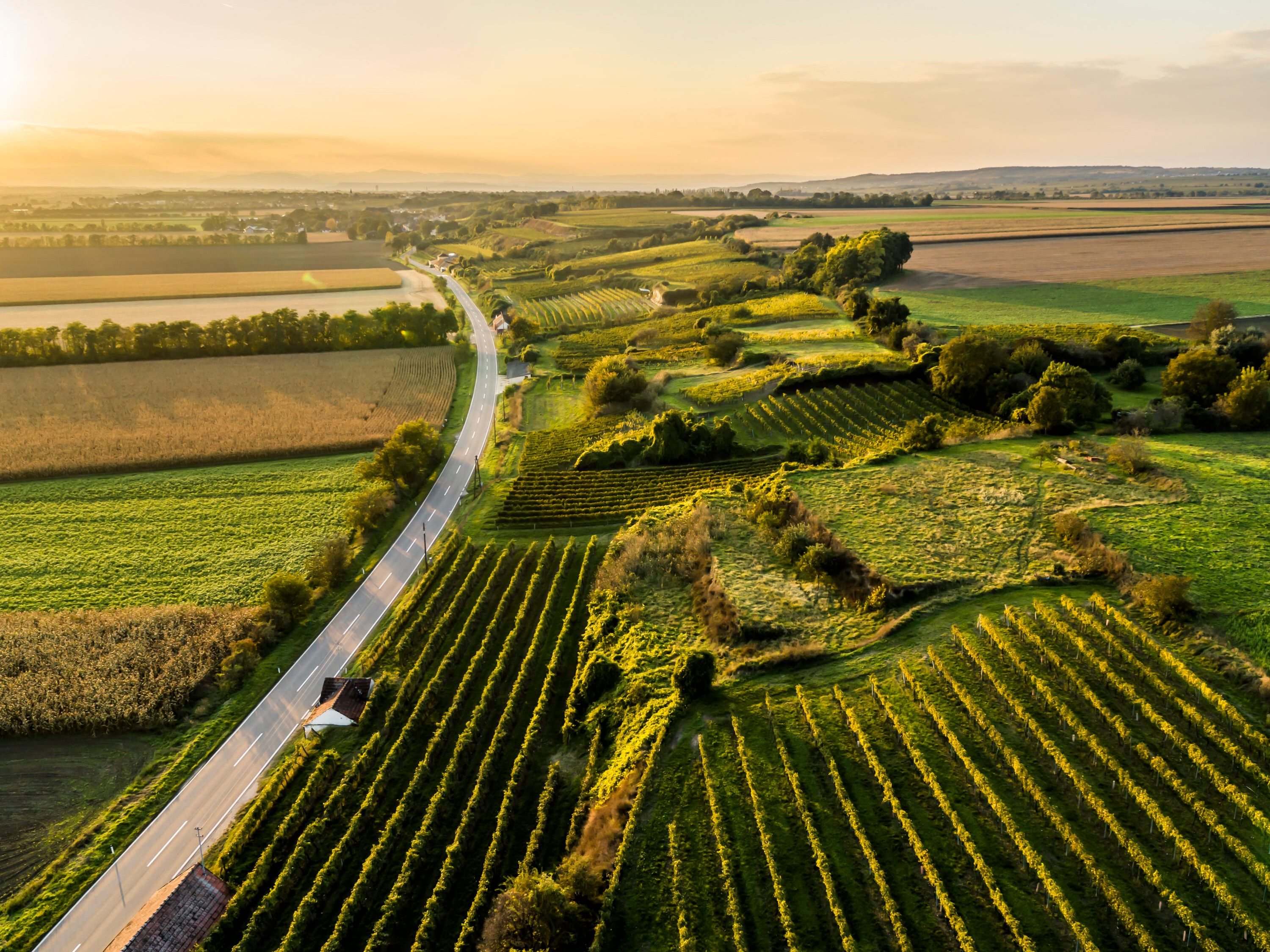 Straße zwischen Engelmannsbrunn und Kirchberg