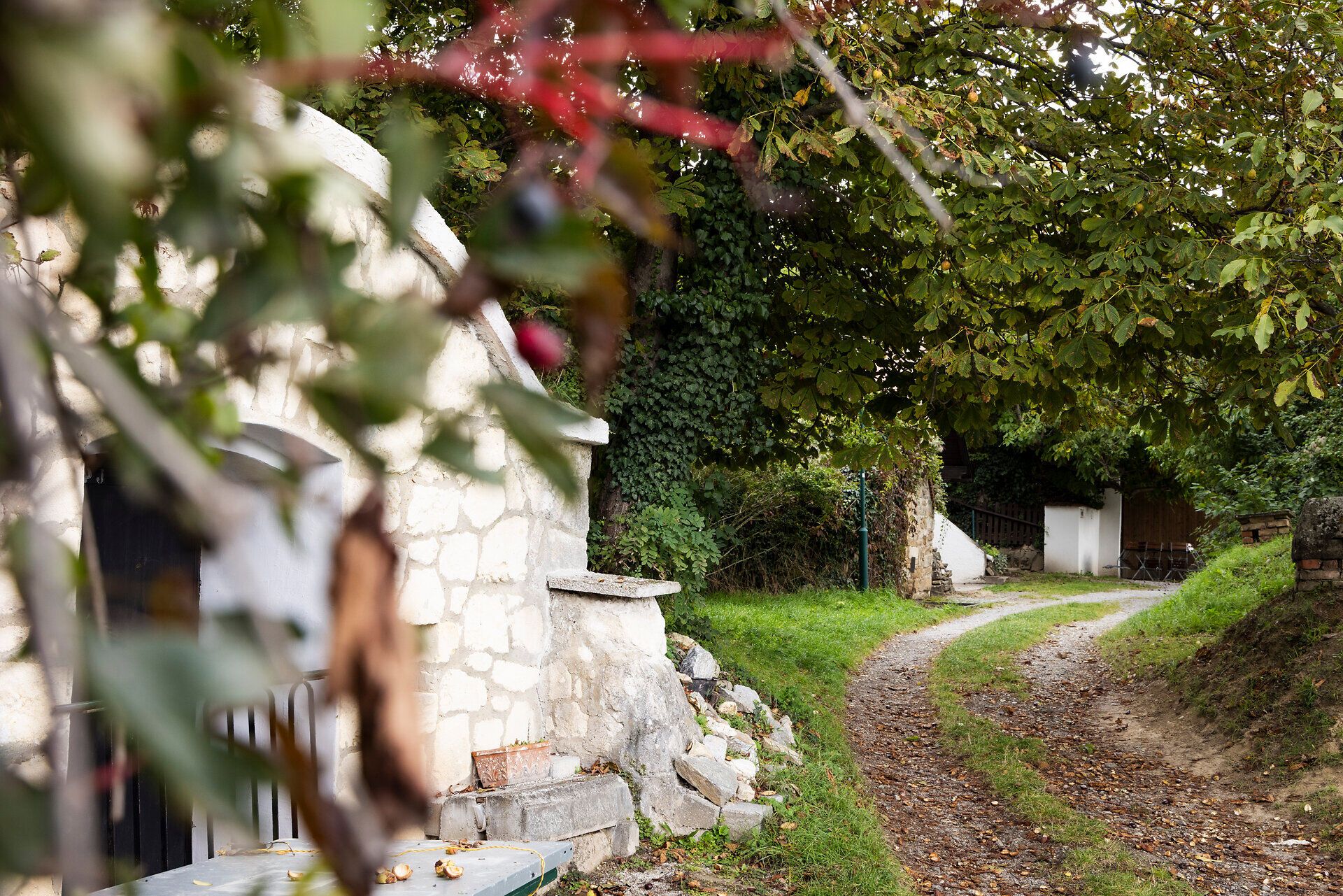 A hiking trail next to old wine cellars. 