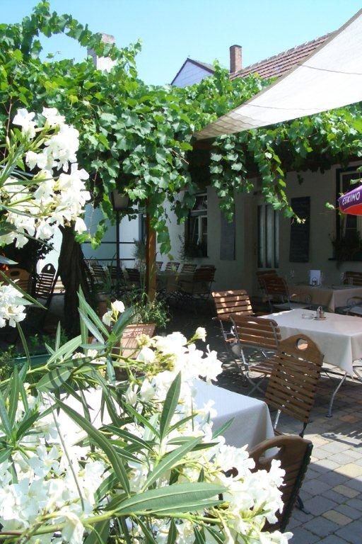 Ein gemütlicher Garten mit Holzmöbeln, weißen Blüten und Weinreben.