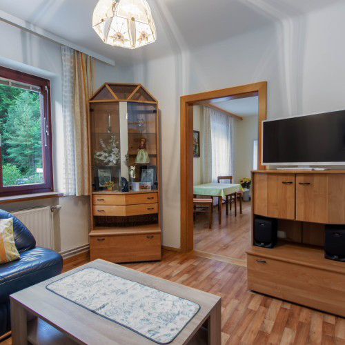 Wohnzimmer mit Glasschrank und Holzvitrine