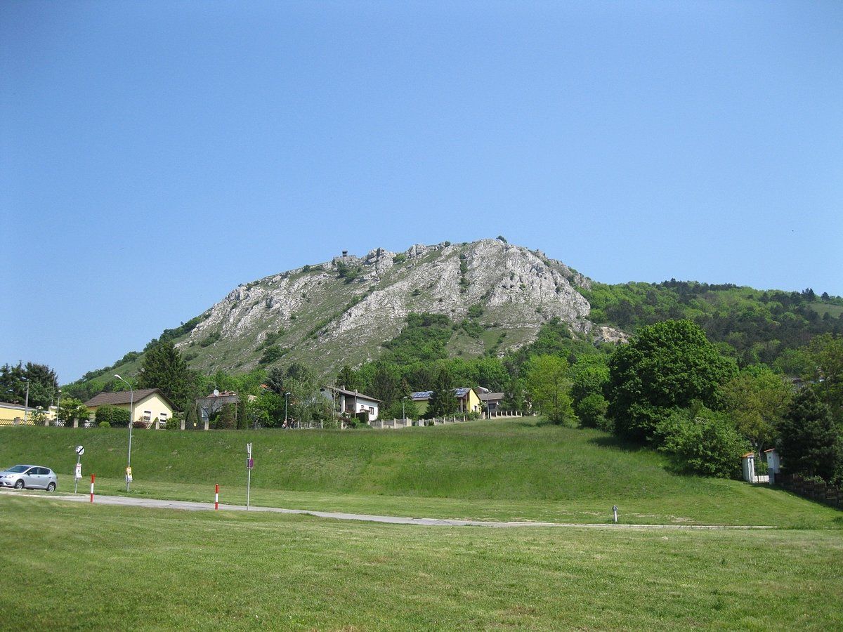 Blick auf den Braunsberg mit Häusern im Vordergrund und blauem Himmel.
