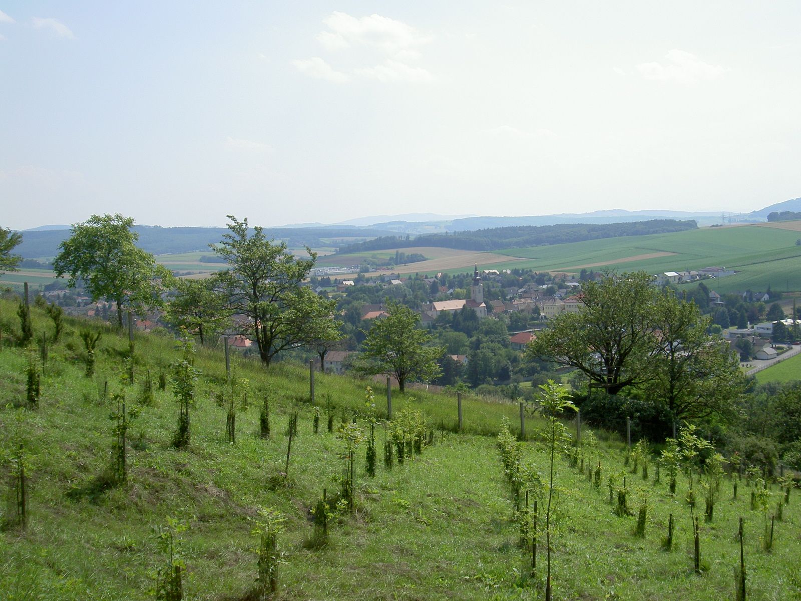 Landschaft mit Hügeln, Bäumen und einem Dorf im Hintergrund.