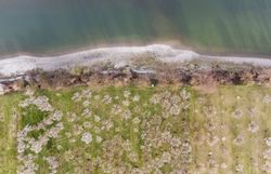 Die sanften Hügel der Wachau erblühen in einem Meer aus zarten, weißen Blüten, während die sanften Wellen des Flusses im Hintergrund leise plätschern. Diese malerische Landschaft lädt dazu ein, die frische Luft zu genießen und die Schönheit der Natur in vollen Zügen zu erleben.