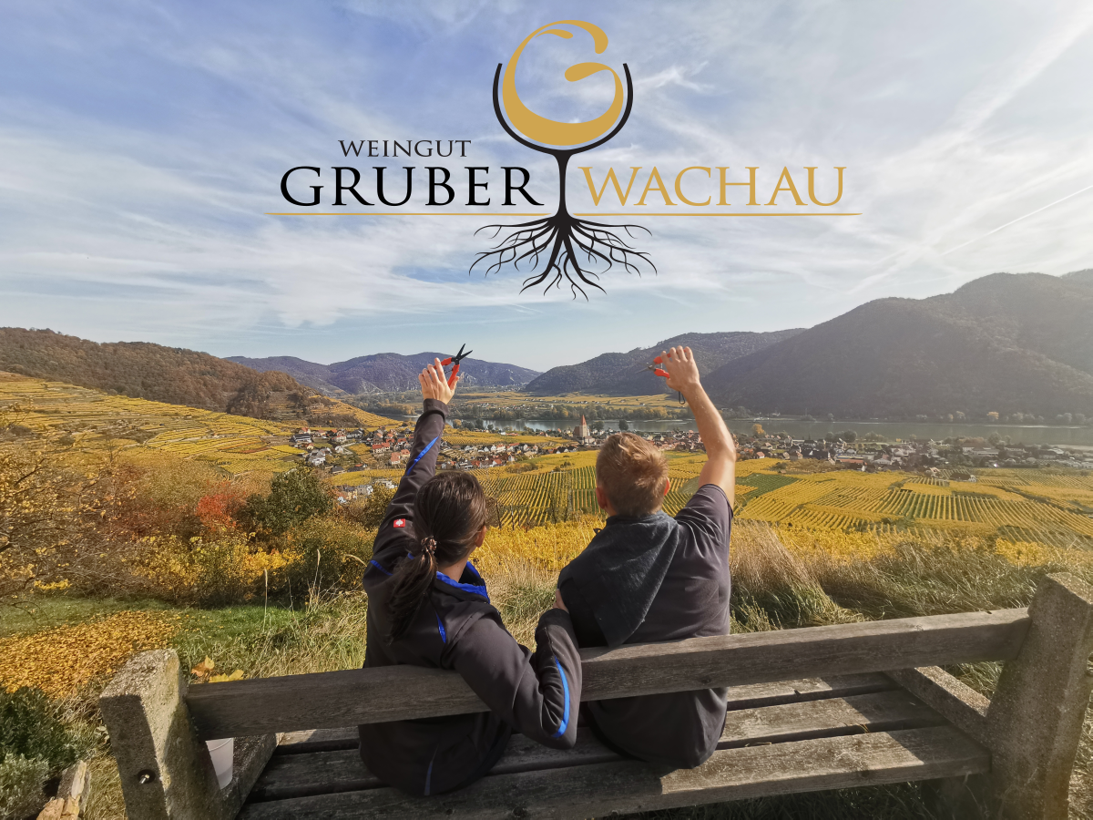 Zwei Personen sitzen auf einer Bank und blicken auf die Weingärten der Wachau. Im Hintergrund sind Hügel und ein Fluss zu sehen.