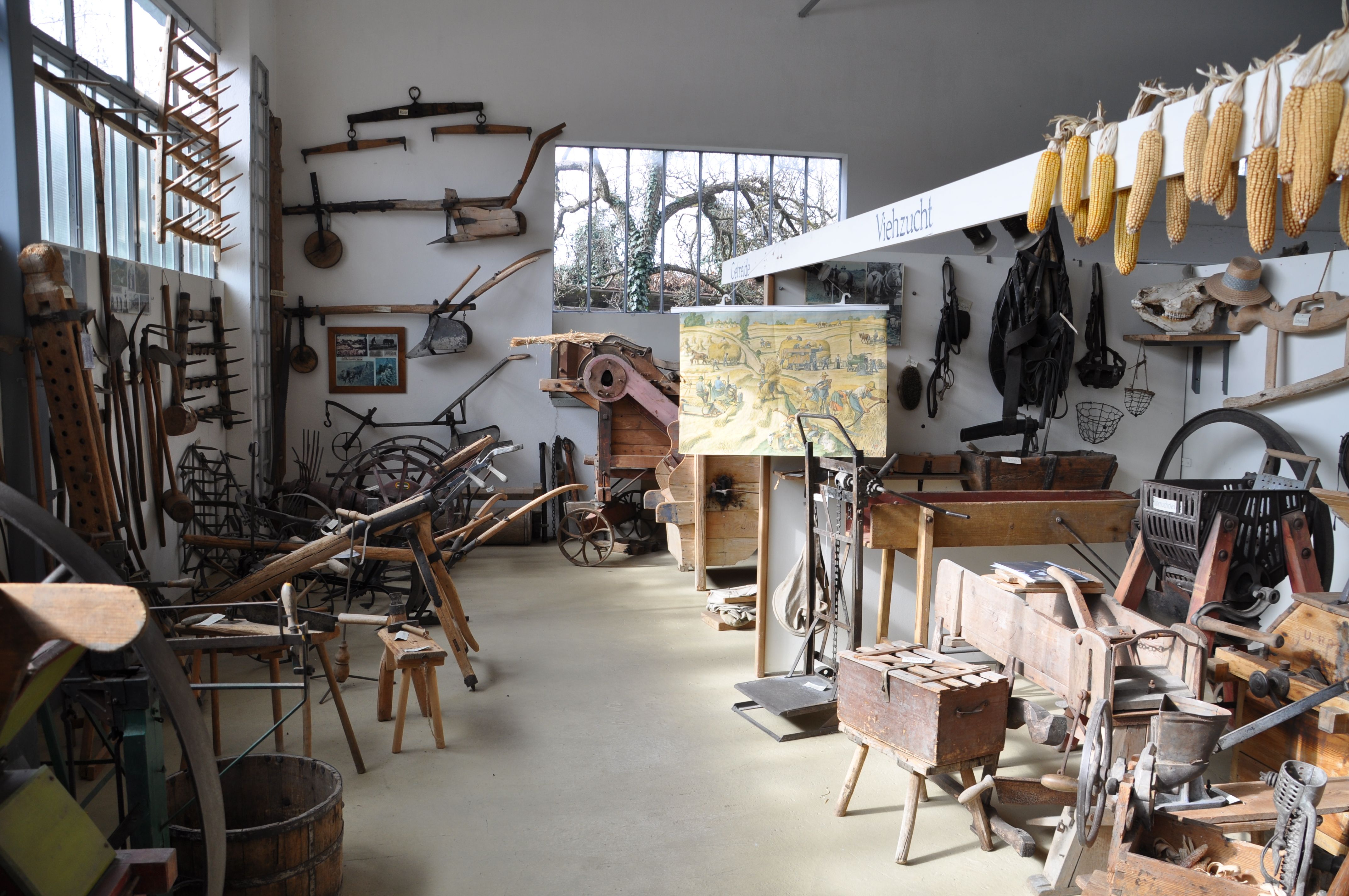 Innenansicht eines Heimatmuseums mit alten landwirtschaftlichen Geräten und Werkzeugen an den Wänden und auf dem Boden.
