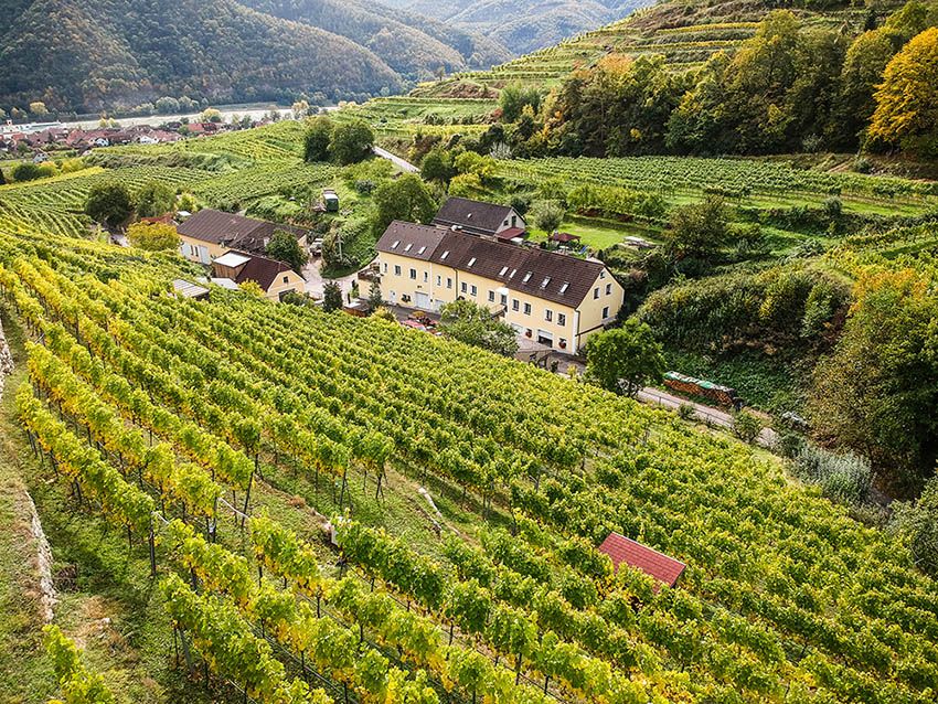 Winzerhof