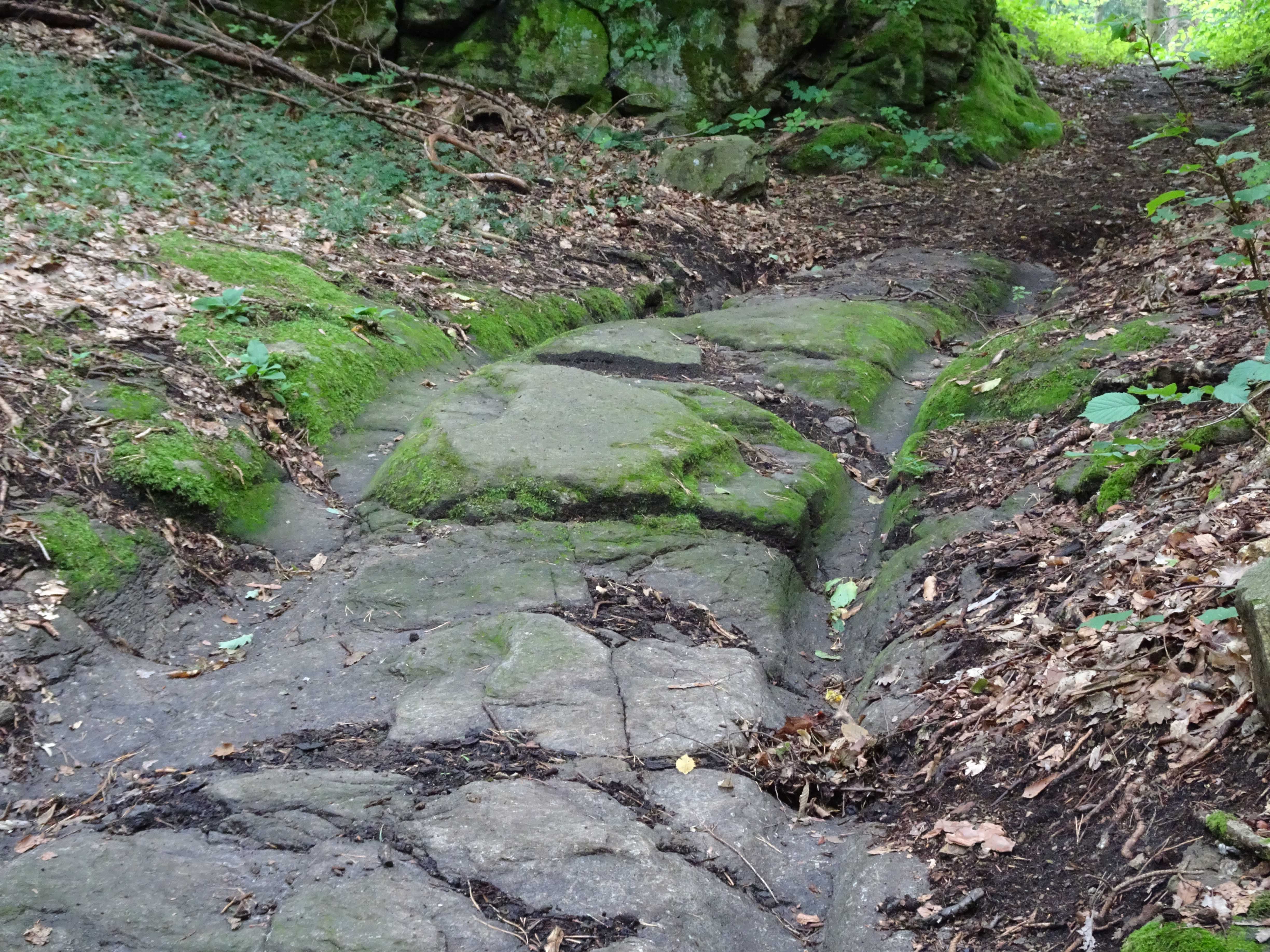 Alte Römerstraße mit tiefen Spurrillen und Moosbewuchs im Wald.