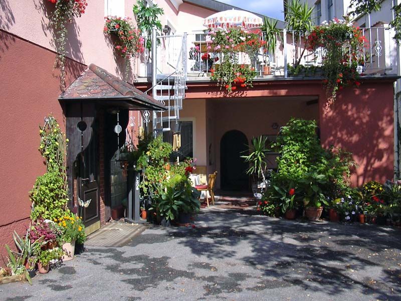 Eingang einer Frühstückspension mit vielen Pflanzen und Blumen.