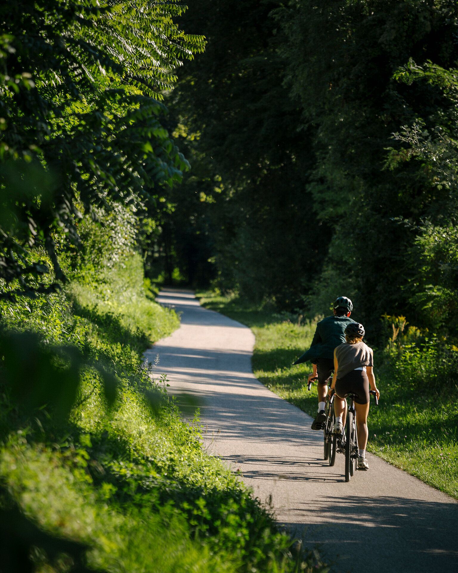 Zwei Personen fahren mit dem Fahrrad auf einem schmalen, asphaltierten Radweg durch einen grünen, schattigen Waldabschnitt.