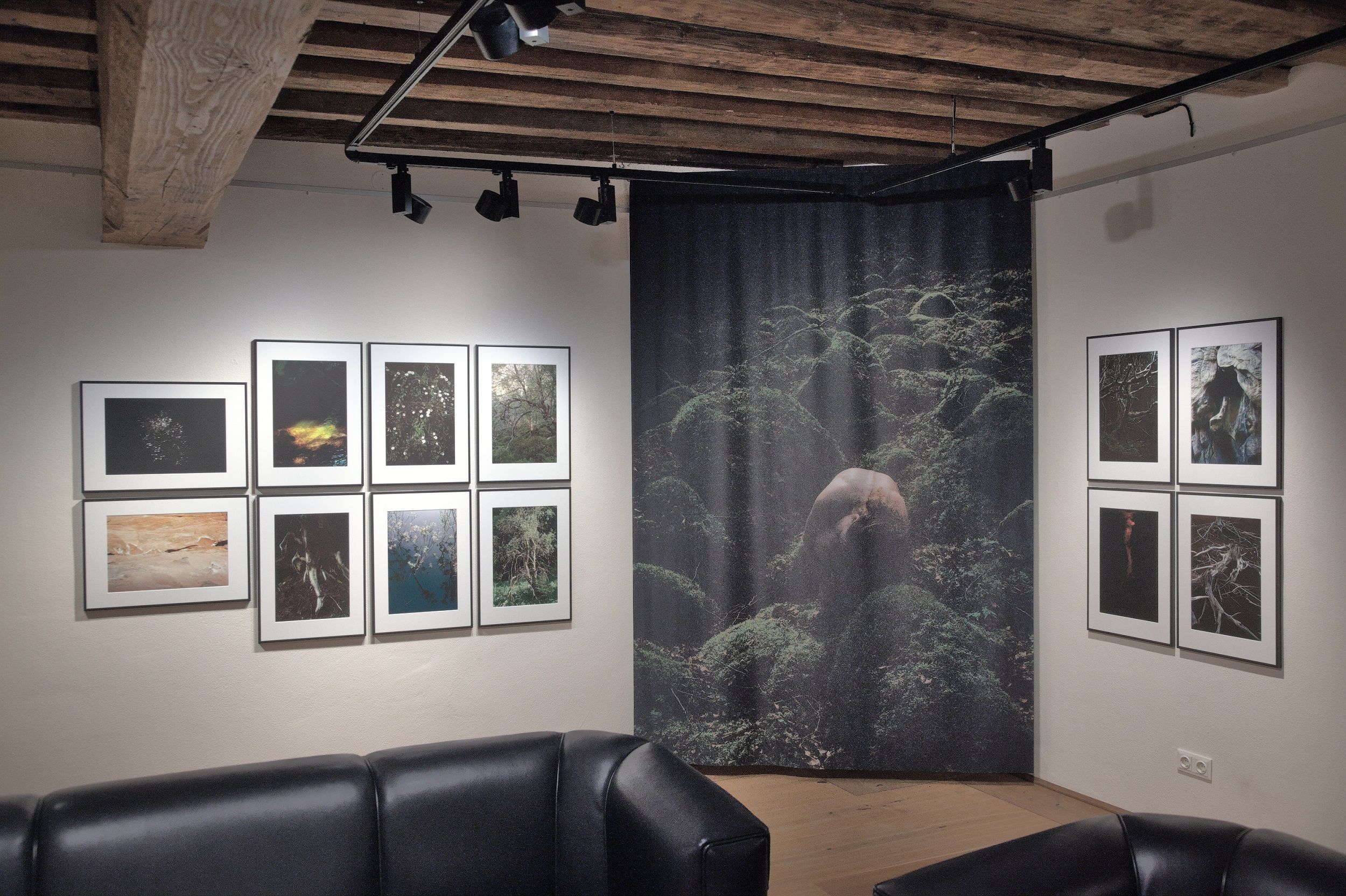 Innenansicht einer Kunstgalerie mit Fotografien an den Wänden und schwarzen Ledersofas.