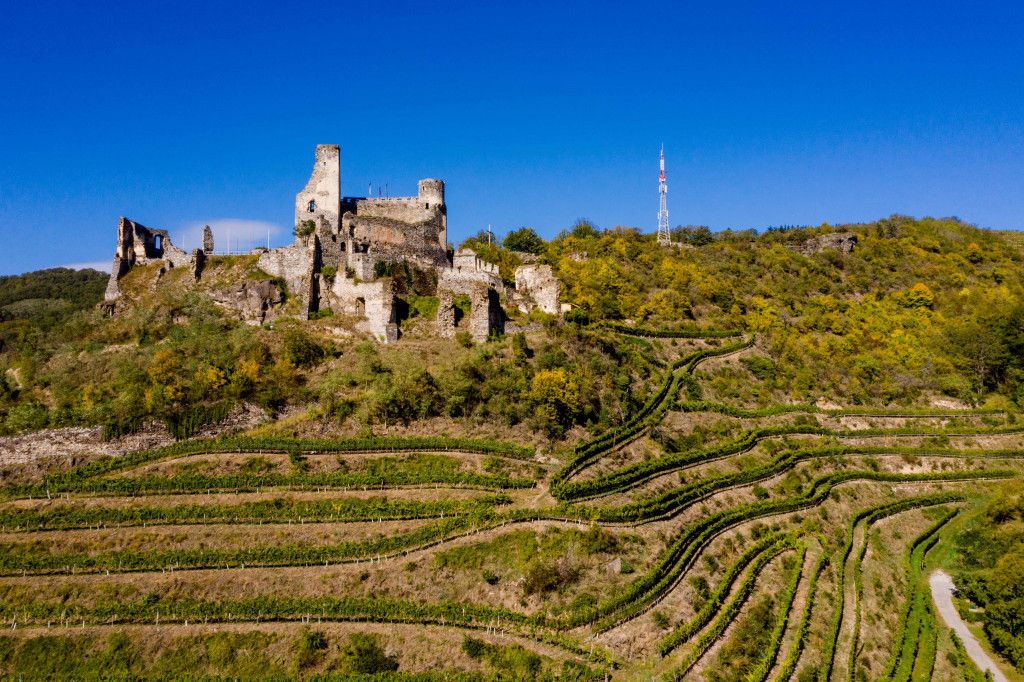 Ruine Senftenberg
