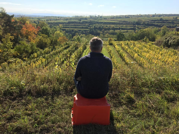 Eine Person sitzt auf einem orangefarbenen Kasten und blickt auf ein weites, terrassiertes Weinberggebiet.