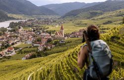 Die sanften Hügel der Wachau sind mit üppigen Weinreben bedeckt, die im warmen Sonnenlicht leuchten. Ein Wanderer genießt den atemberaubenden Ausblick auf das malerische Dorf, während die sanfte Brise die frischen Aromen der Natur heranträgt.