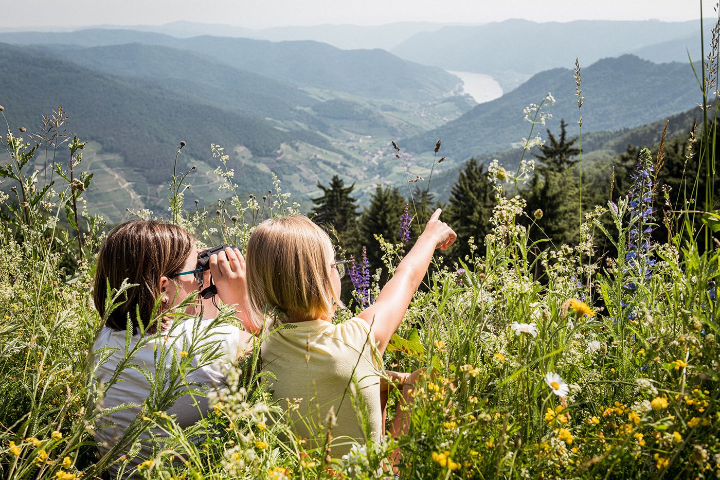Naturpädagogik  im Naturpark Jauerling-Wachau