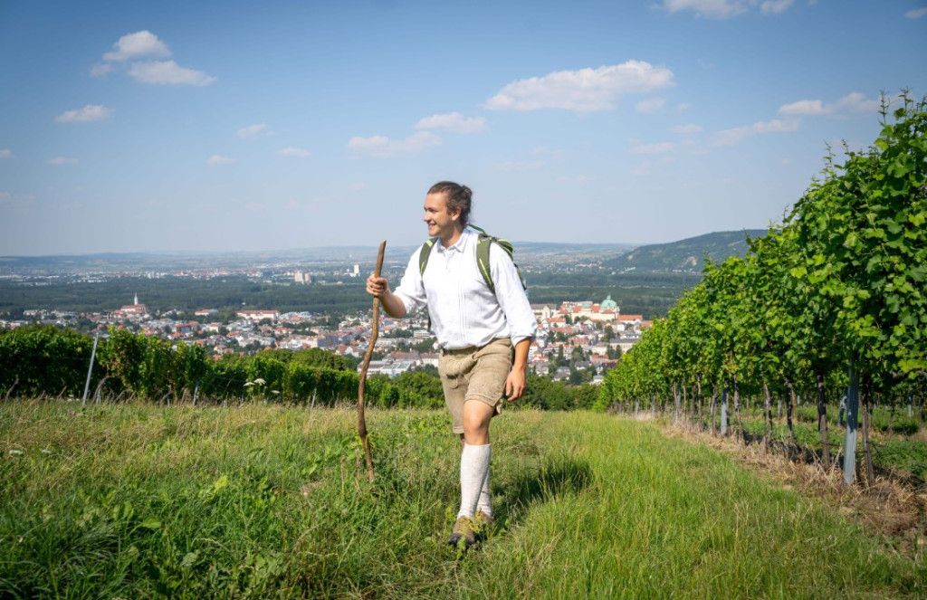 Klosterneuburger Weinhügelwandertag
