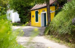 Gelber Keller zwischen Bäumen und Sträuchern.