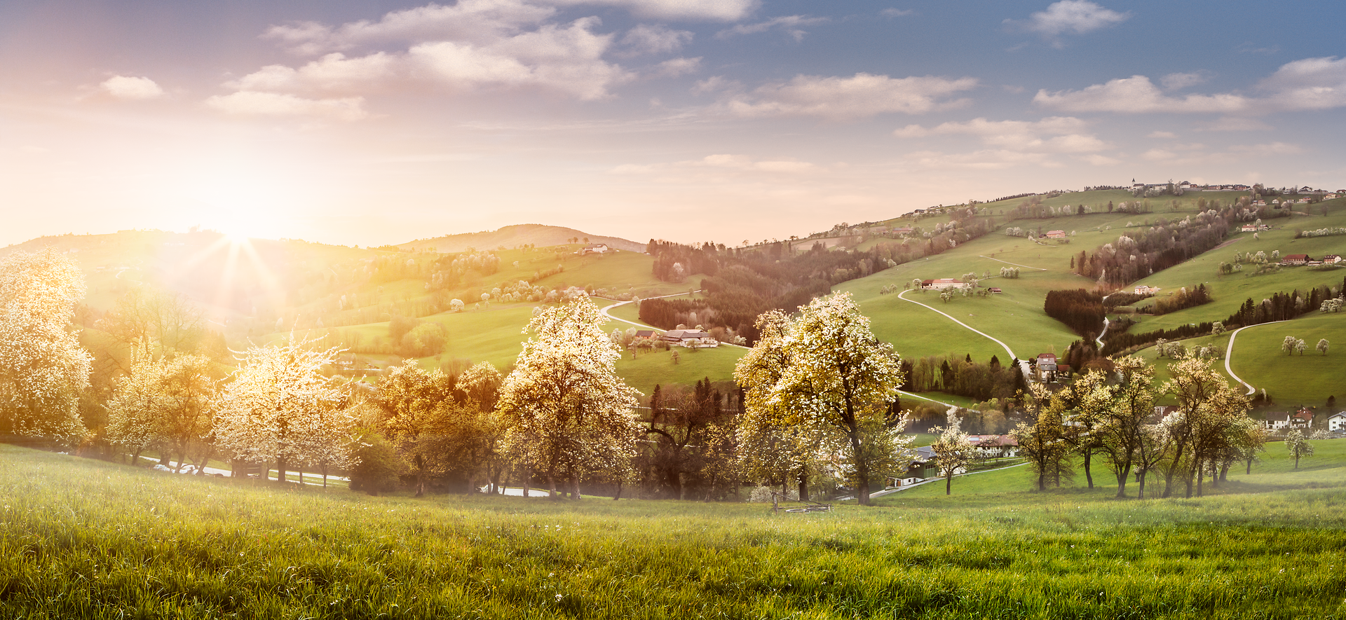 Die sanften Hügel der Moststraße erstrahlen im warmen Licht der Abendsonne, während blühende Obstbäume die Landschaft in ein Farbenmeer tauchen. Hier, wo die Natur in voller Pracht erblüht, lädt die idyllische Umgebung zu erholsamen Wanderungen und genussvollen Momenten ein.