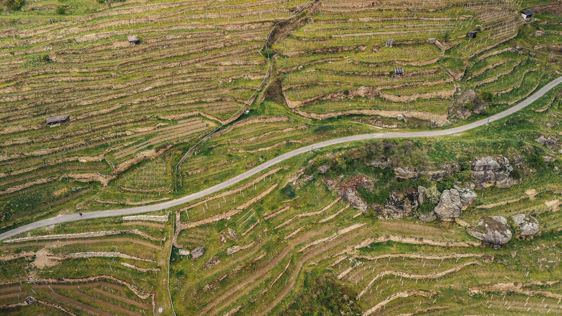Luftaufnahme von terrassierten Weingärten mit schmalen Steinmauern und einem gewundenen Weg, der sich durch die Hänge zieht.