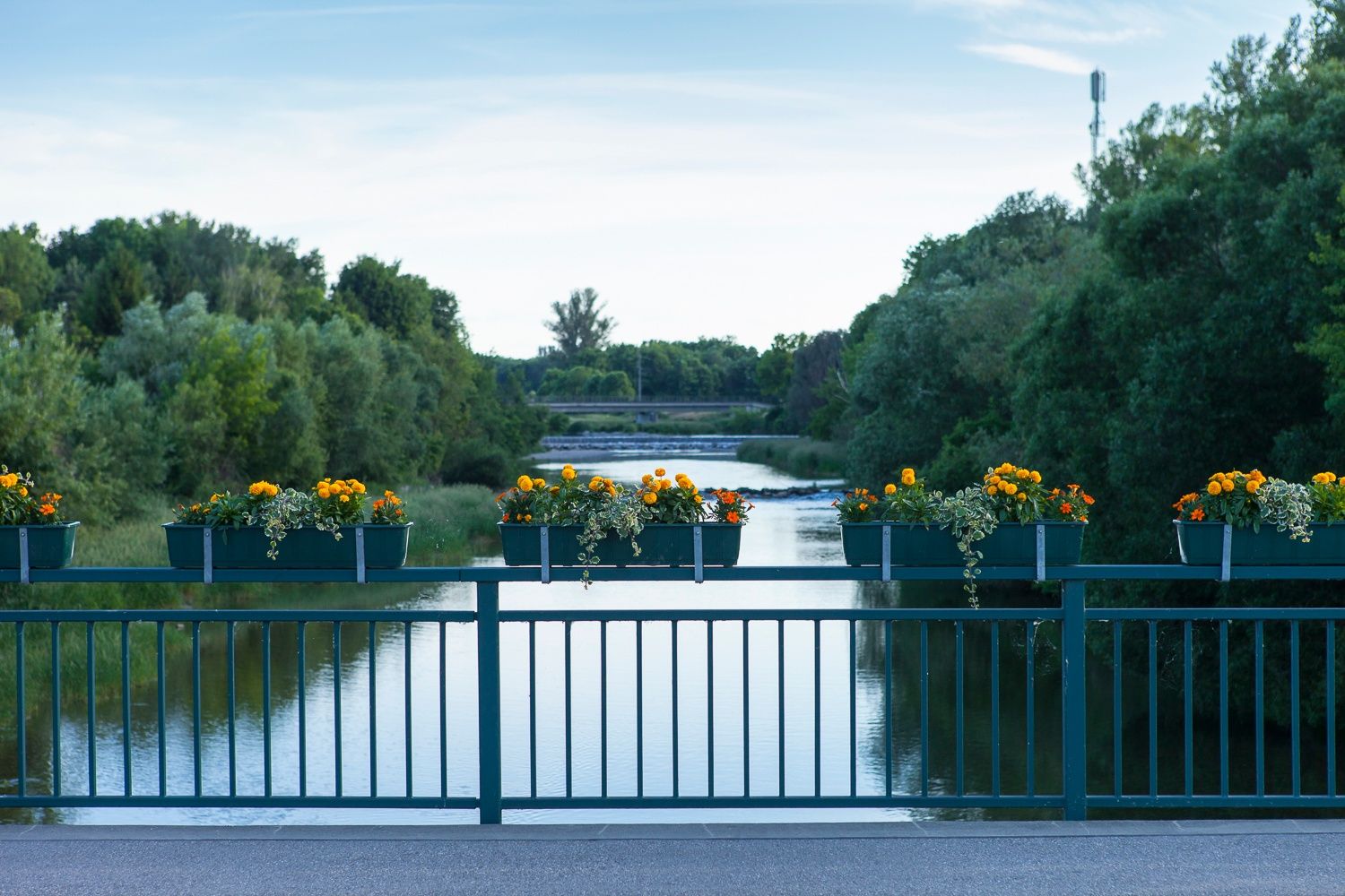 Blick von einer Brücke auf einen Fluss mit Blumenkästen am Geländer.