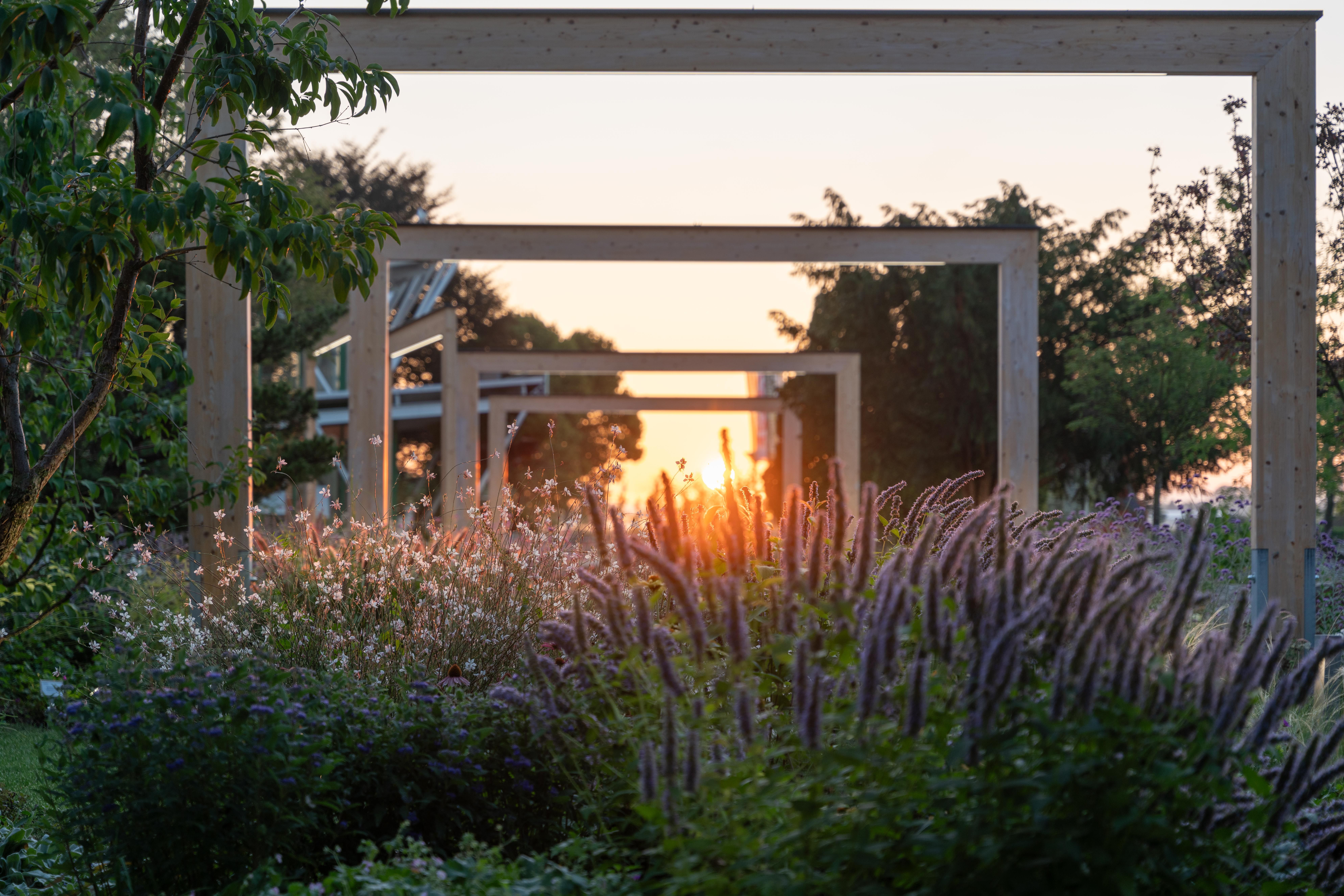 Ein Garten mit Blumen und Holzrahmen im Sonnenuntergang.