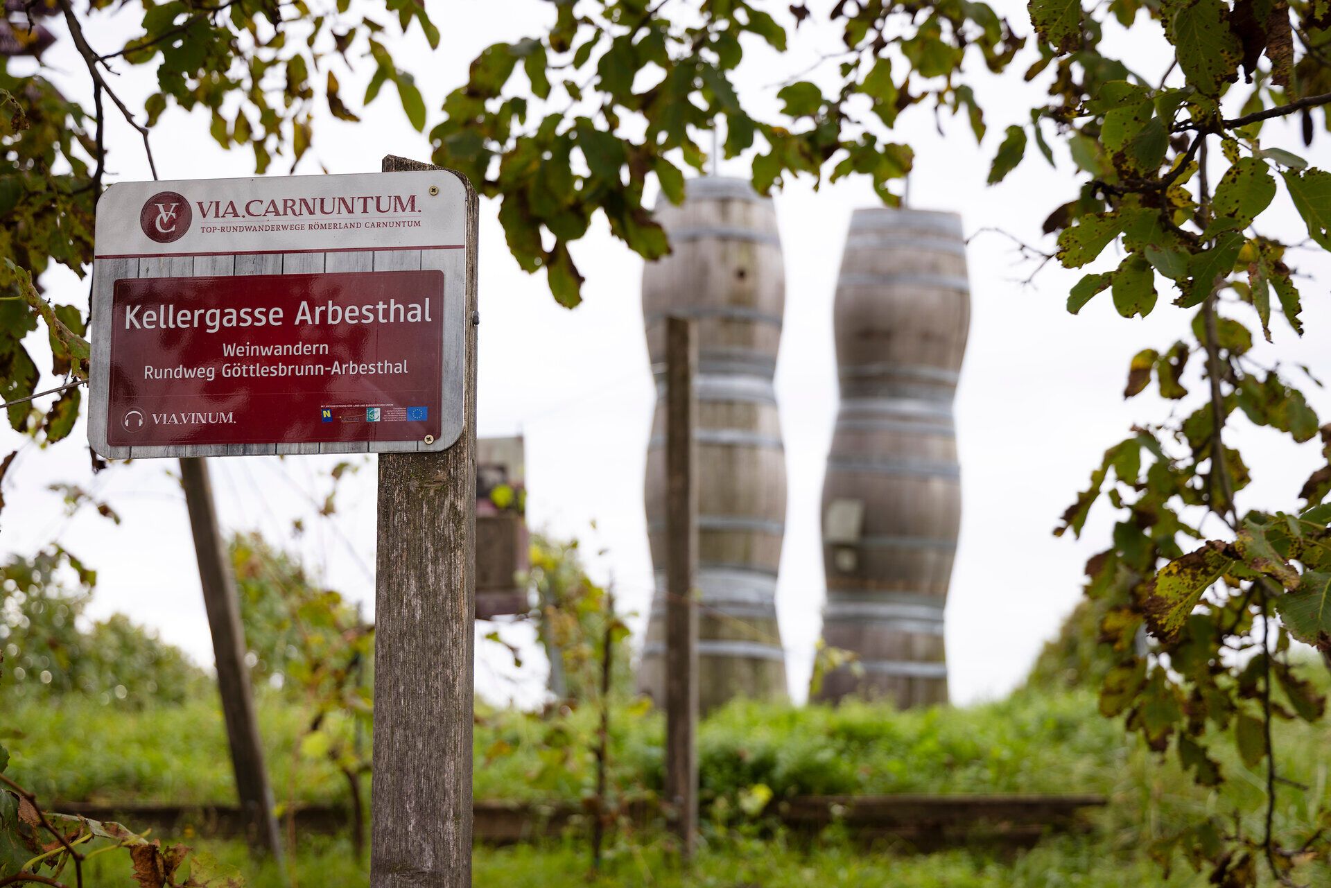 Grüner Weingarten und ein Wanderschild mit der Aufschrift "Kellergasse Arbesthal". 