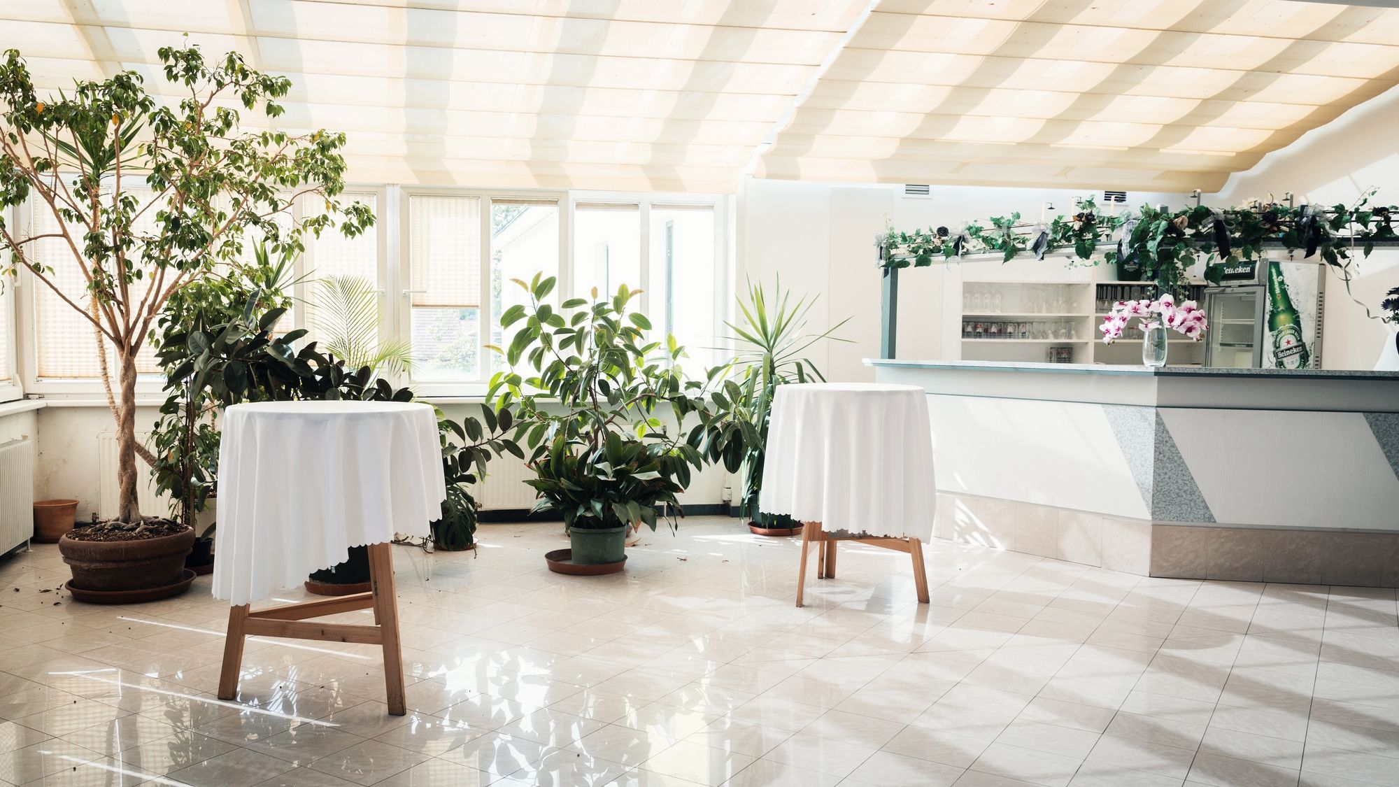 Bright room with plants, two bar tables with white tablecloths and a bar in the background.