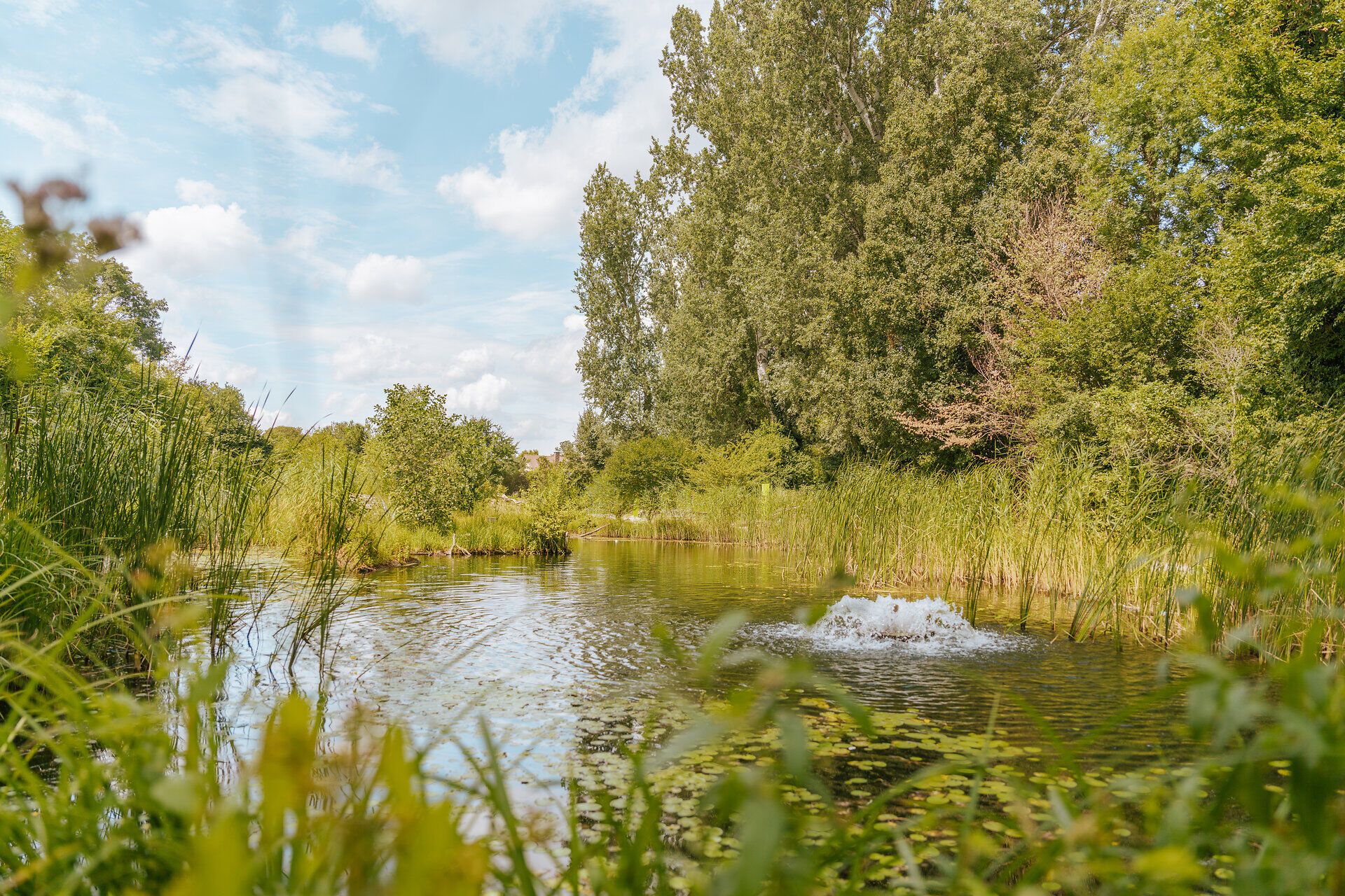 Die sanften Wellen des Wassers spiegeln die üppige grüne Umgebung wider, während die hohen Bäume im Hintergrund eine beruhigende Kulisse bieten. Hier, inmitten der Natur, entfaltet sich eine Oase der Ruhe, die zum Verweilen und Entspannen einlädt.
