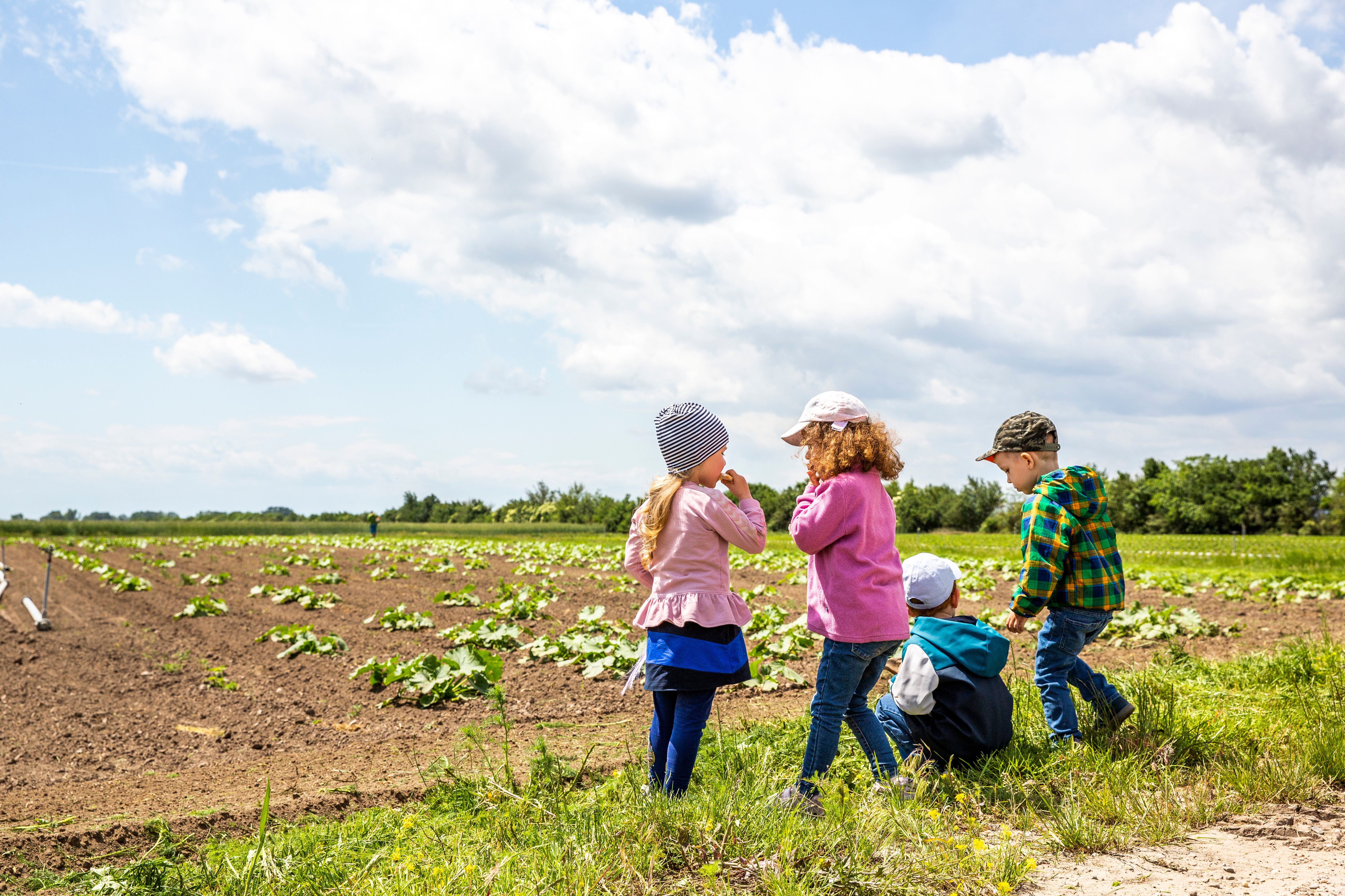 Kinder am Gemüsefeld vom Biohof Adamah 