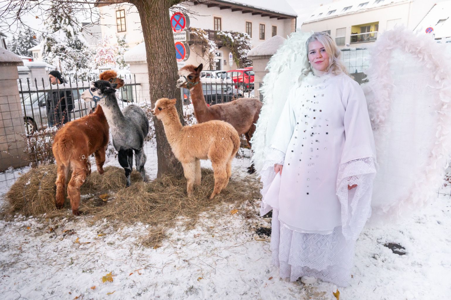 Advent in Stockerau
