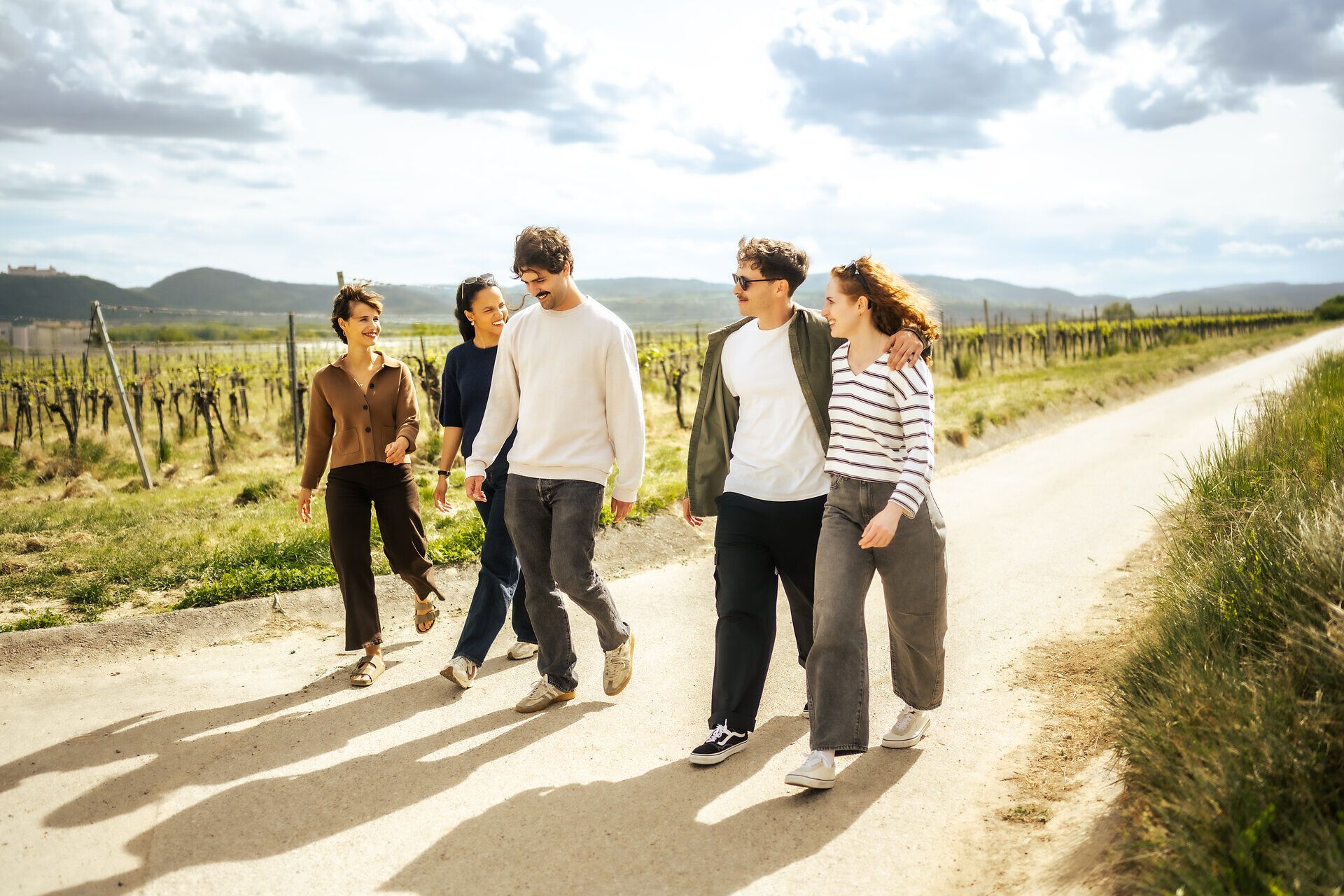 Fünf Personen spazieren gemeinsam auf einem Weg zwischen Weinbergen und unterhalten sich.