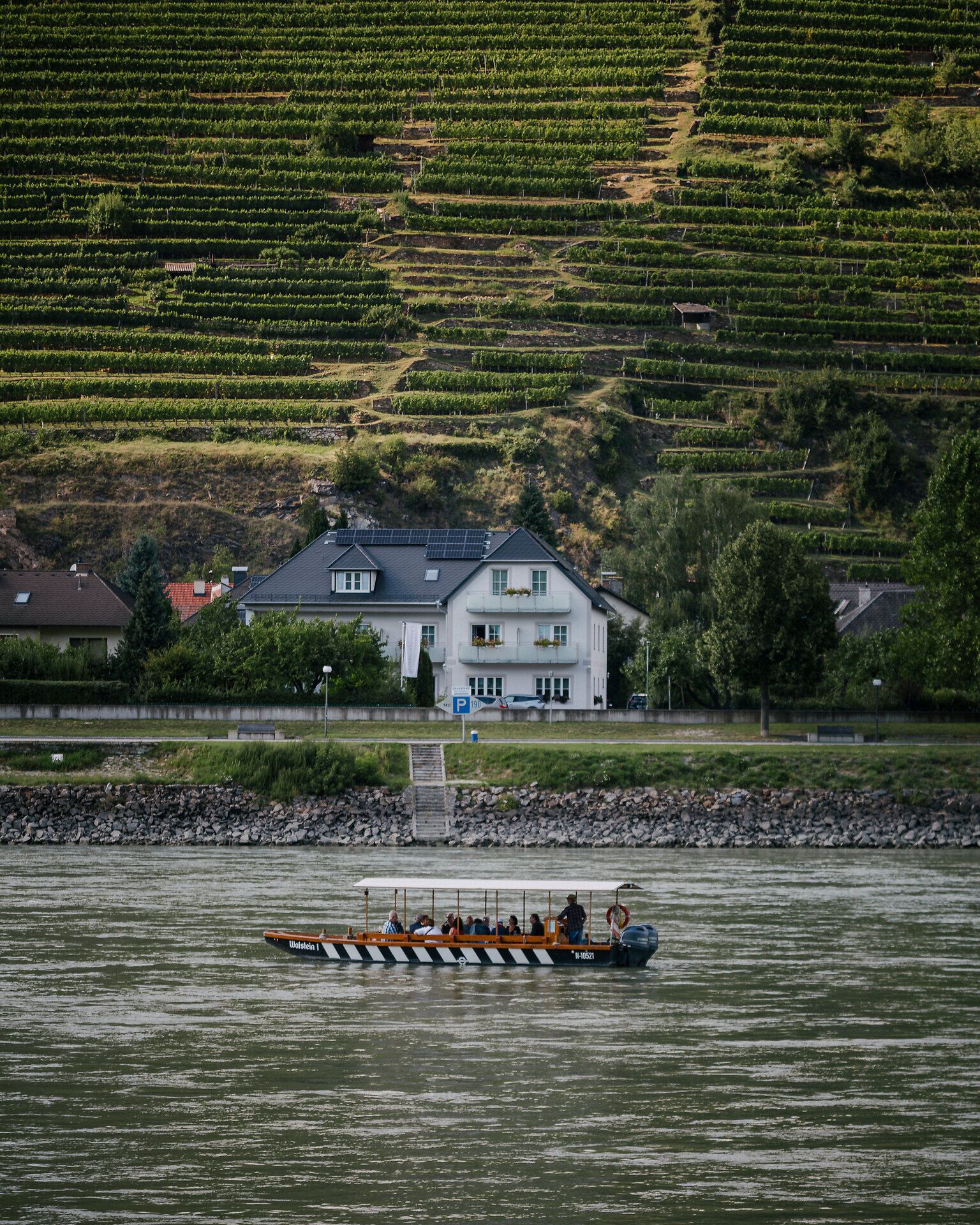 Langes Boot mit mehreren Personen auf der Donau; am gegenüberliegenden Ufer stehen Häuser, dahinter steigen terrassierte Weingärten den Hang hinauf.