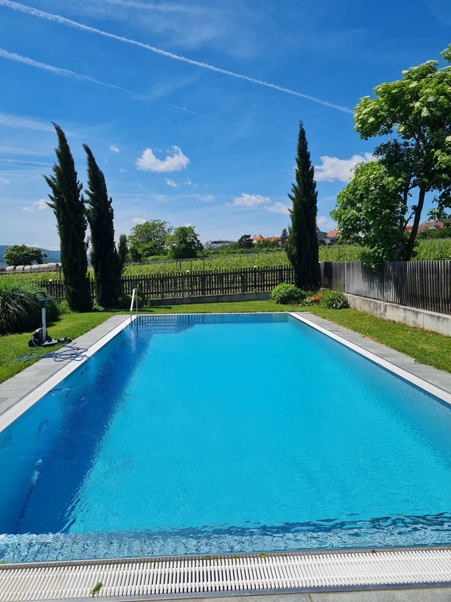 swimming pool in the garden